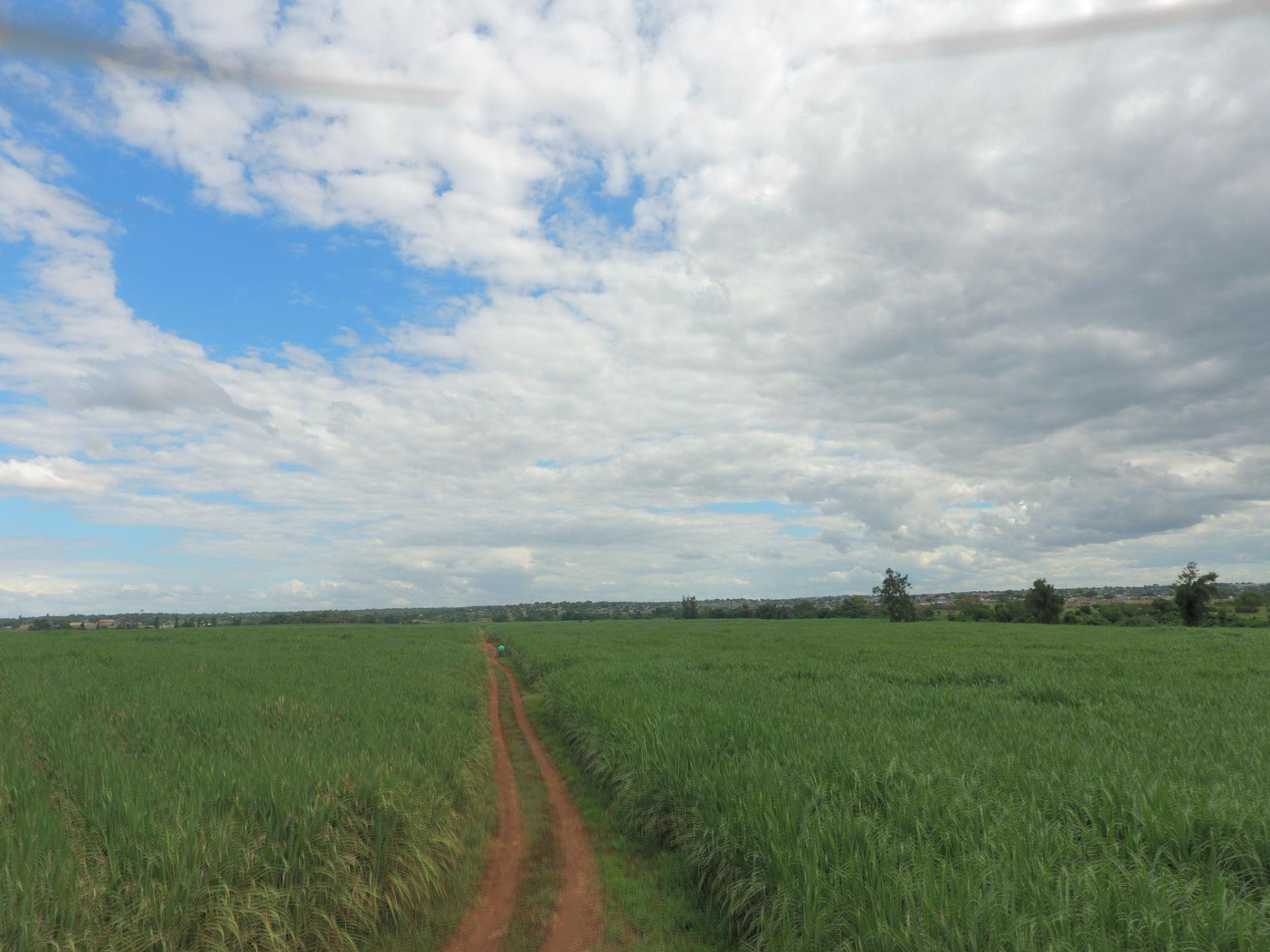 70 hectare crop farm for sale in Malelane