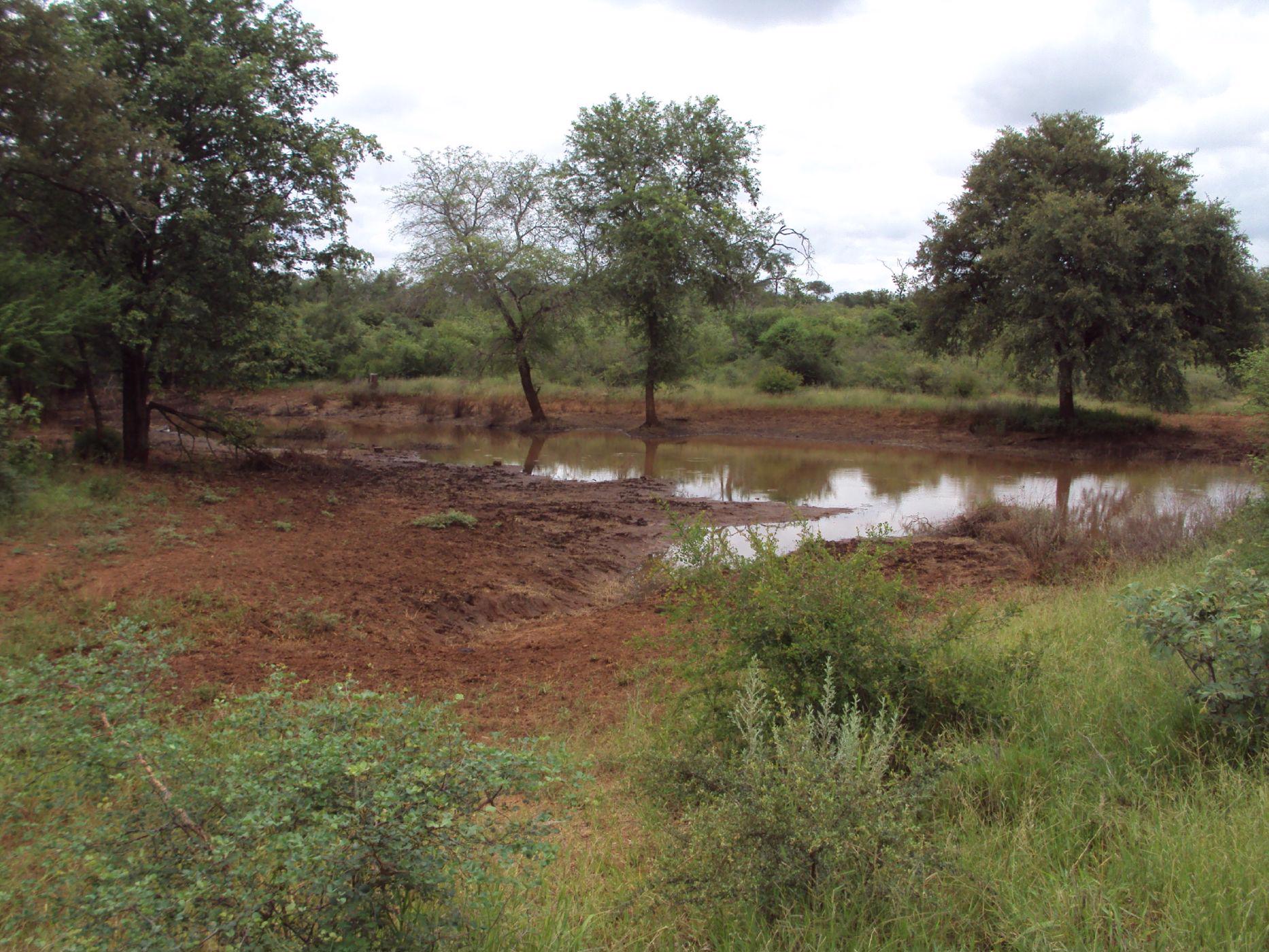 2500 hectare Game Farm For Sale | Phalaborwa | 1PW1515897 | Pam Golding ...