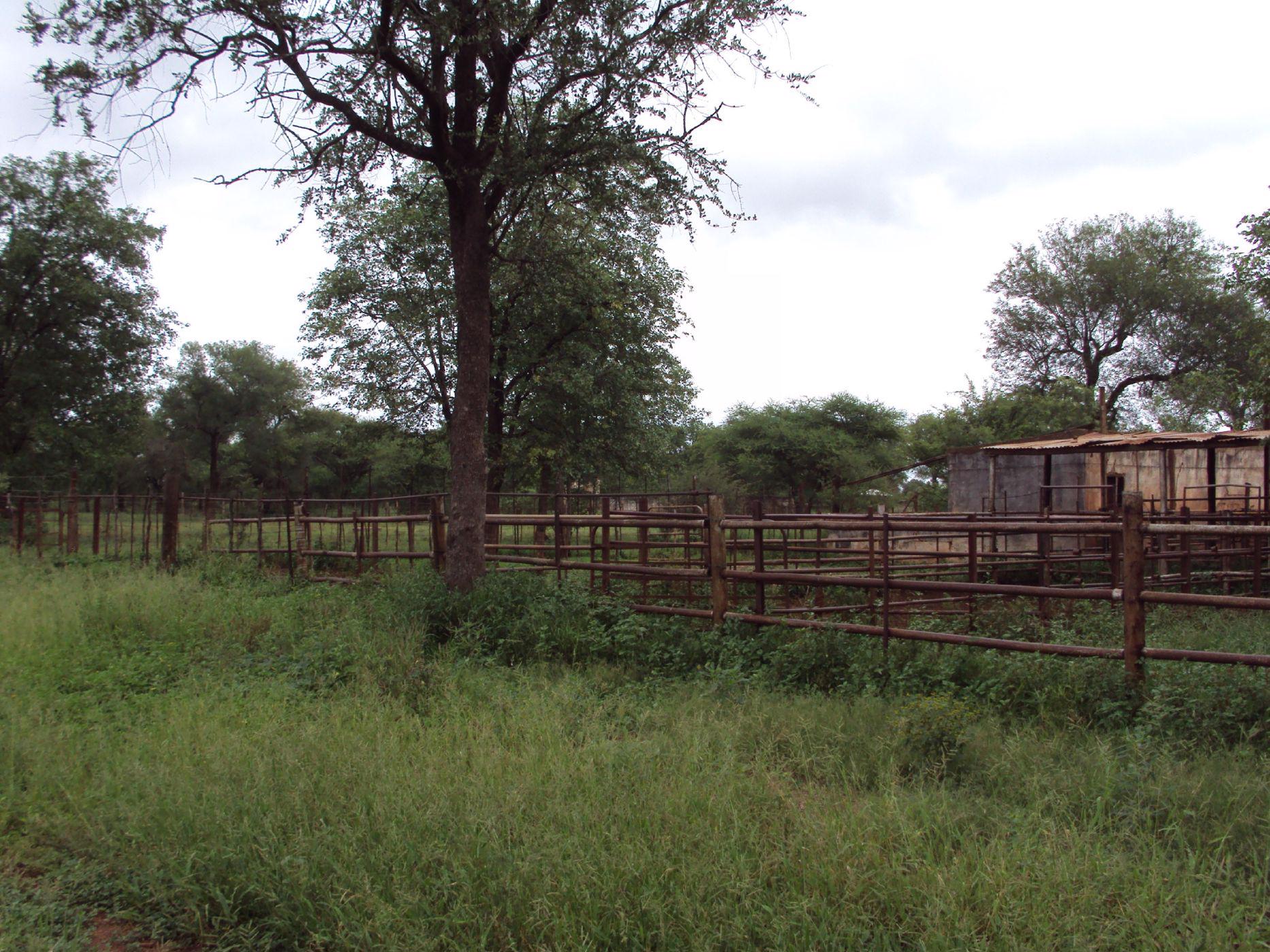 2500 hectare Game Farm For Sale Phalaborwa 1PW1515897 Pam Golding