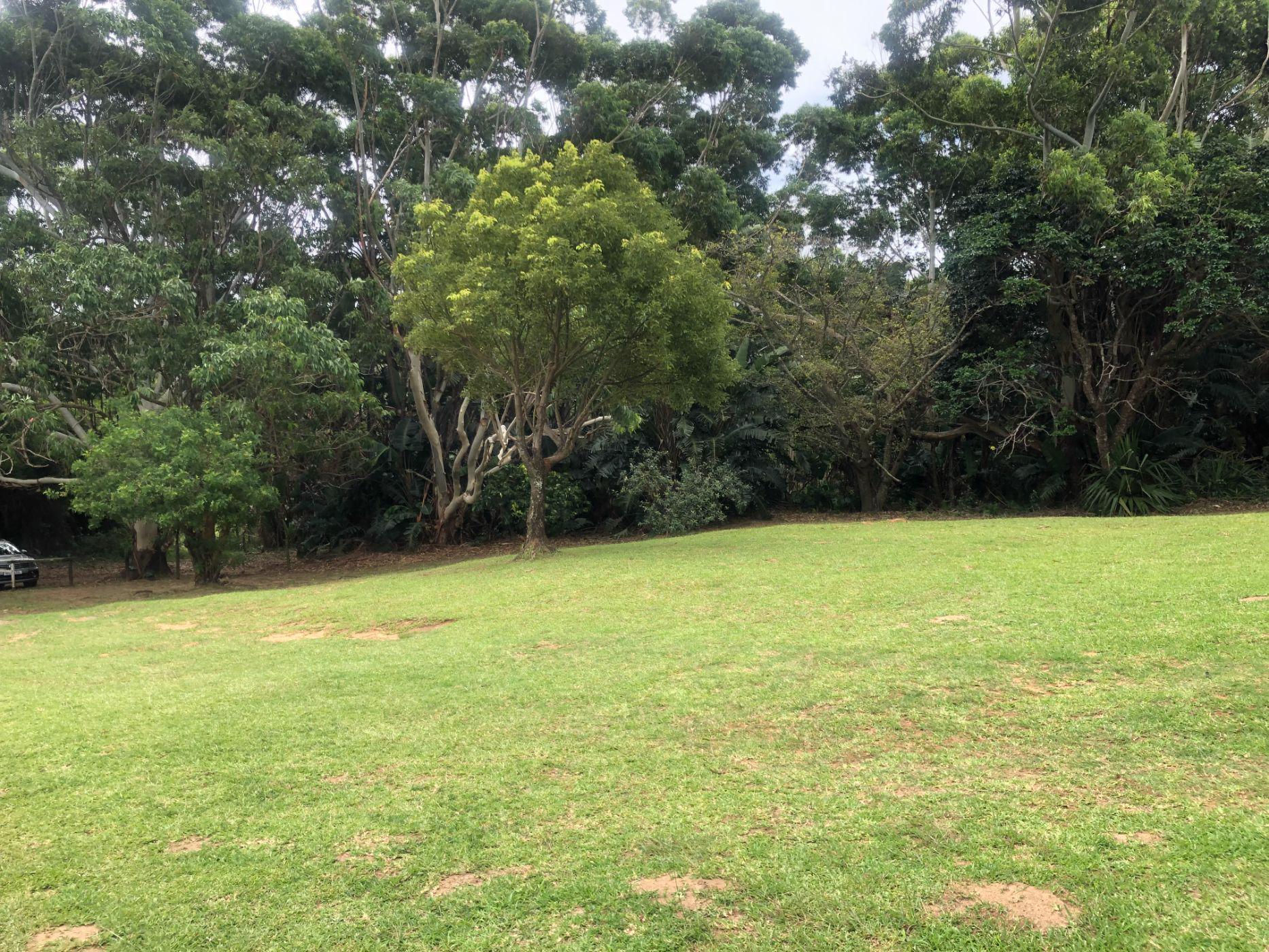 1032 m2 Residential Vacant Land For Sale Port Edward 1PD1517442 Pam Golding Properties