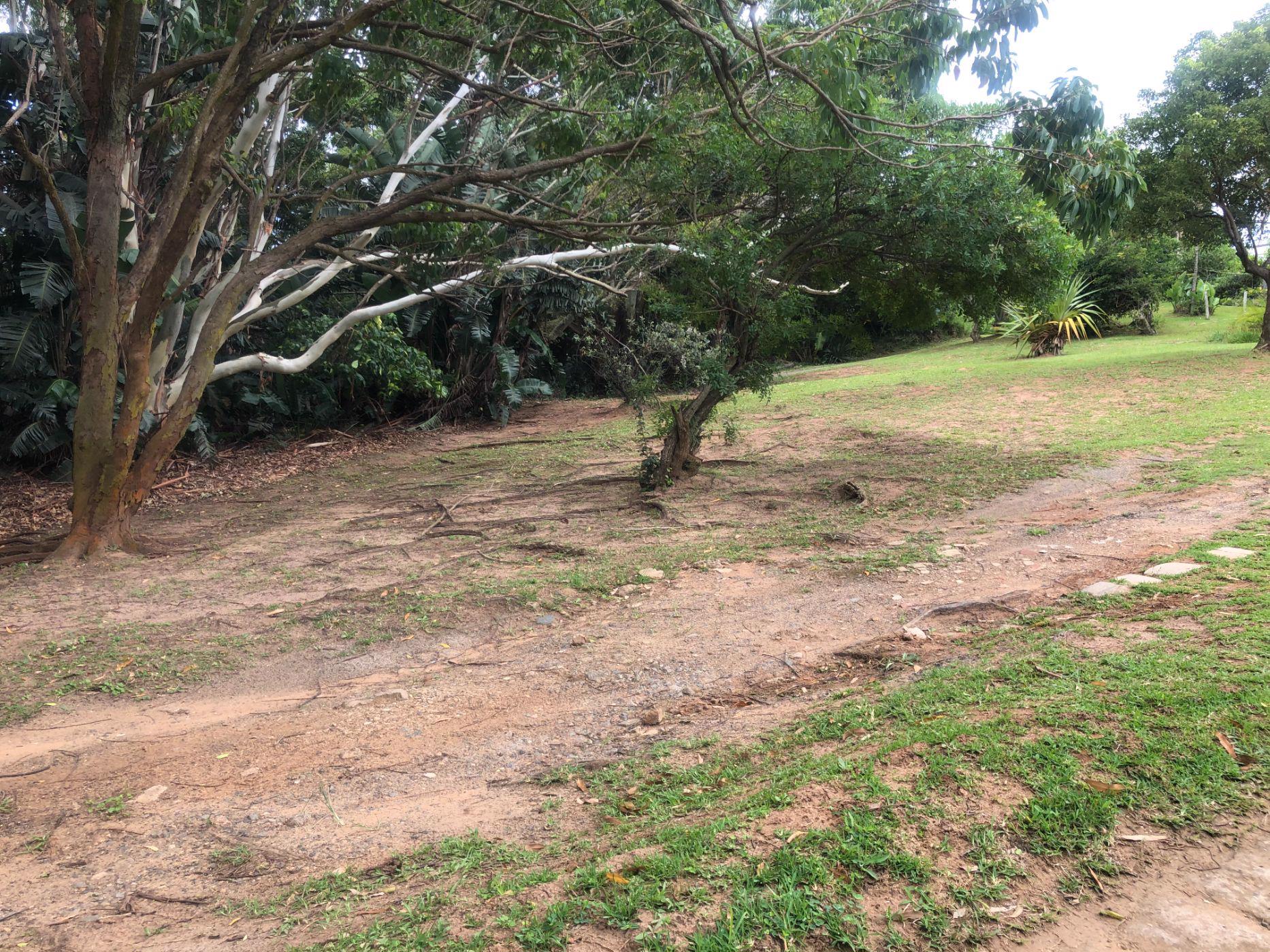 1032 m2 Residential Vacant Land For Sale Port Edward 1PD1517442