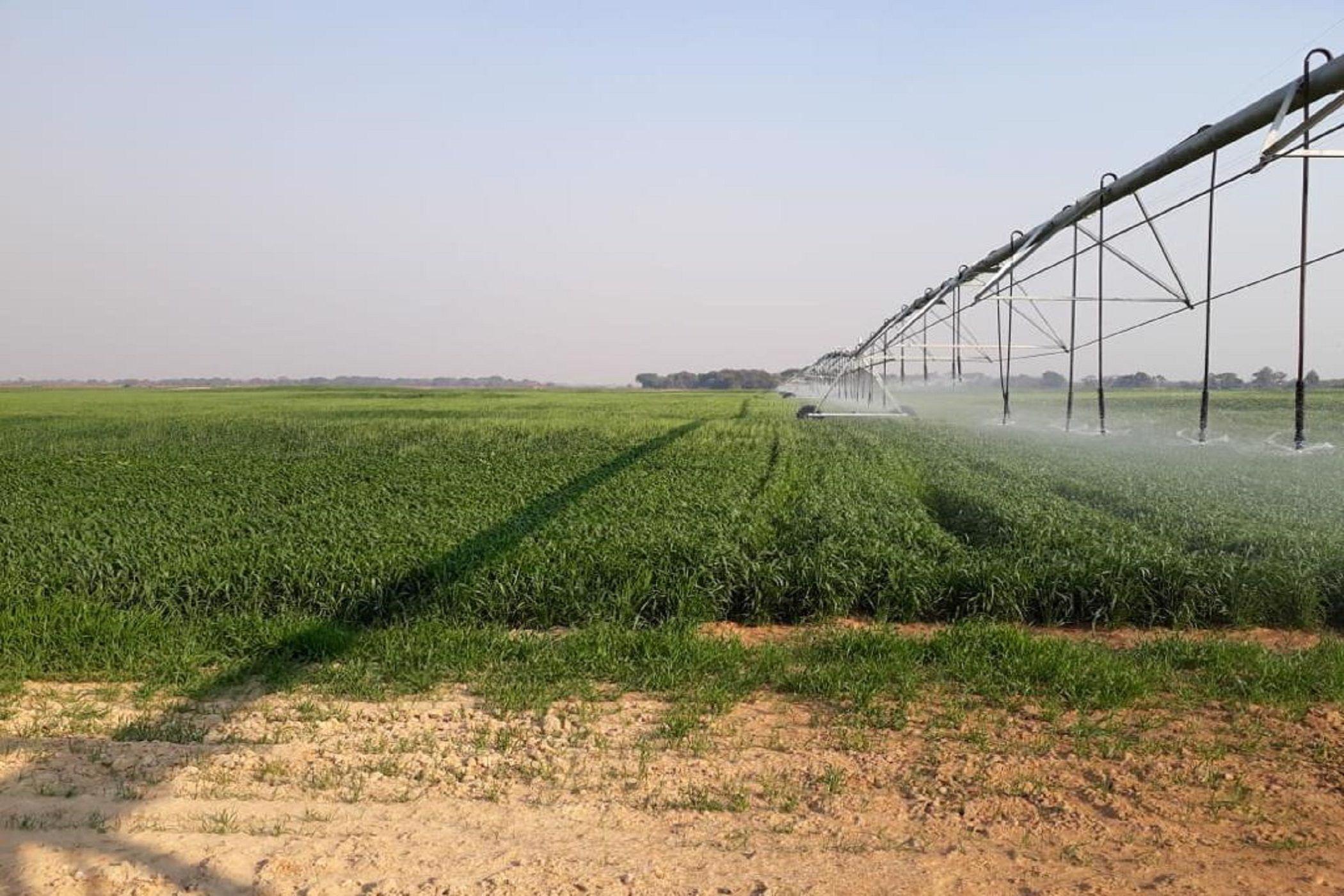 4000 hectare Mixed Use Farm For Sale Lufwanyama, Copperbelt Province