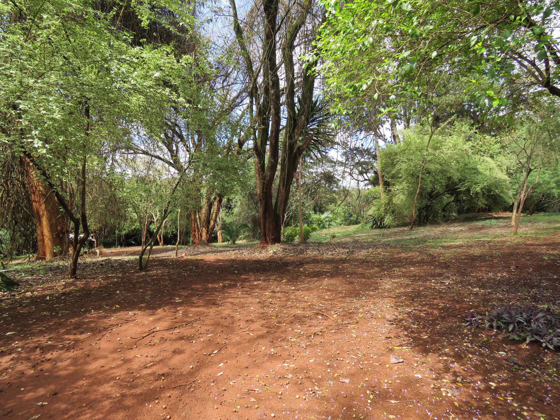 1.6 acres residential vacant land for sale in Runda  (Kenya)