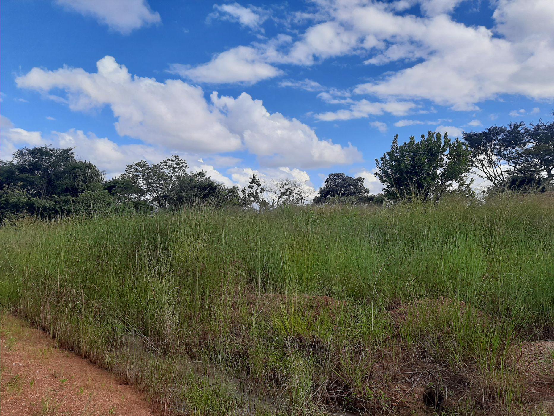 Vacant Land For Sale Chisamba (Zambia) 3ZA1522106 Pam Golding