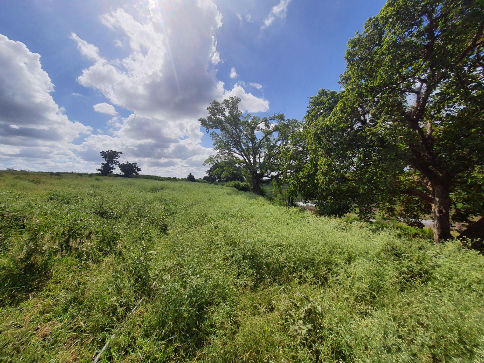 225 hectare Farm Vacant Land For Sale Shiselweni (Swaziland