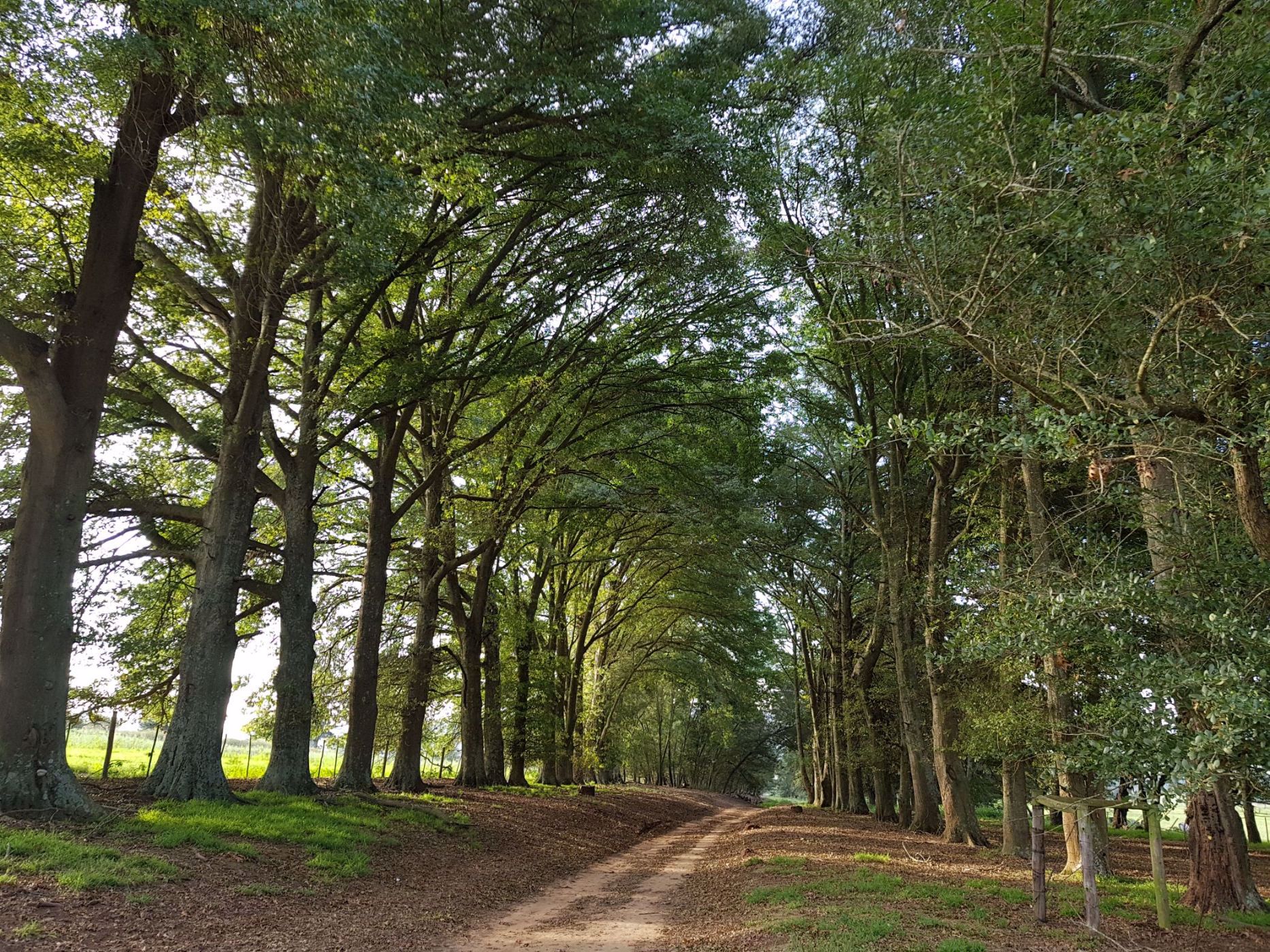 38 hectare Mixed Use Farm For Sale Mooi River 1PM1517227 Pam