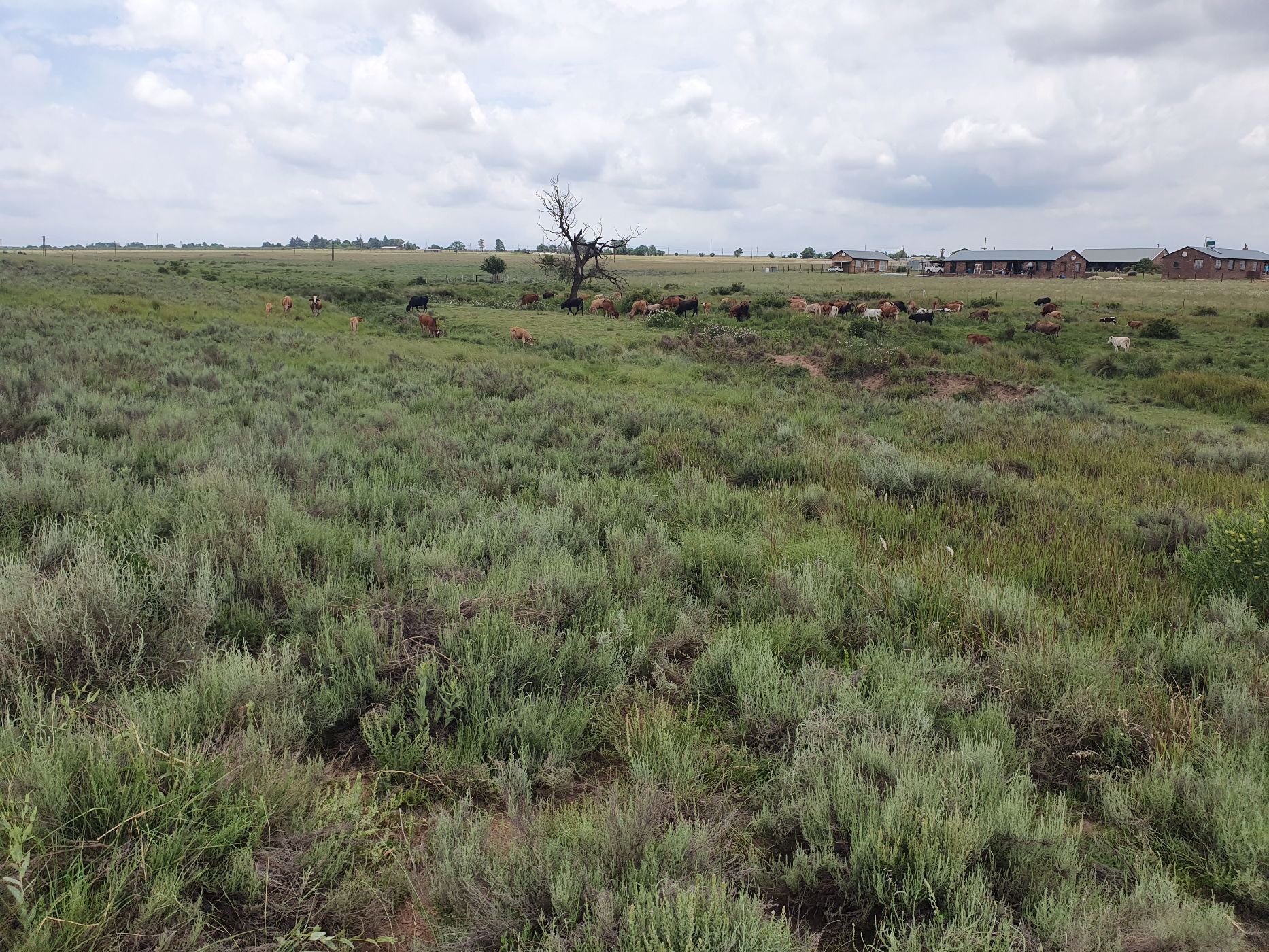 10 hectare farm vacant land for sale in Klipkop (Pretoria East)