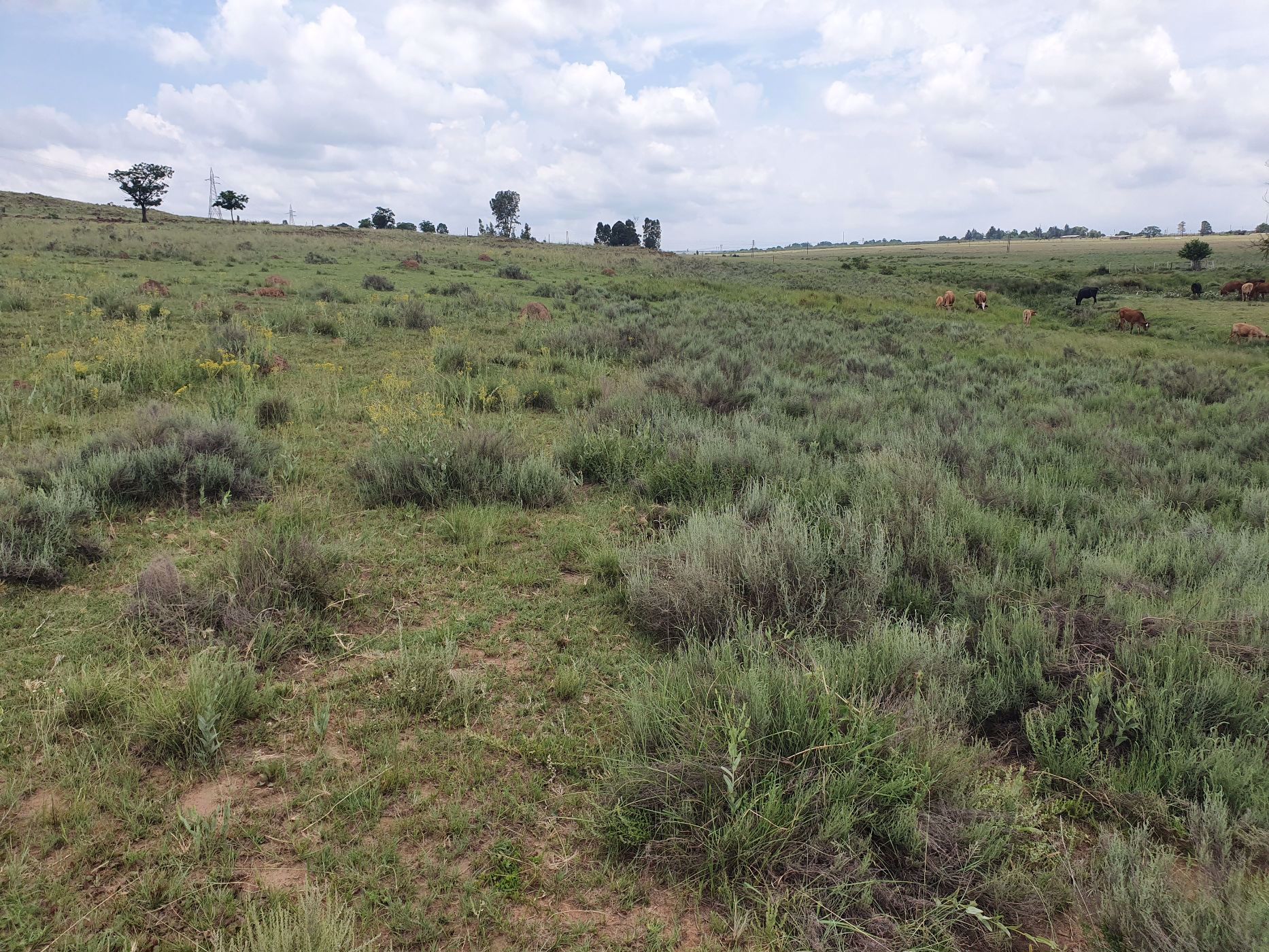 10 hectare Farm Vacant Land For Sale Klipkop (Pretoria East