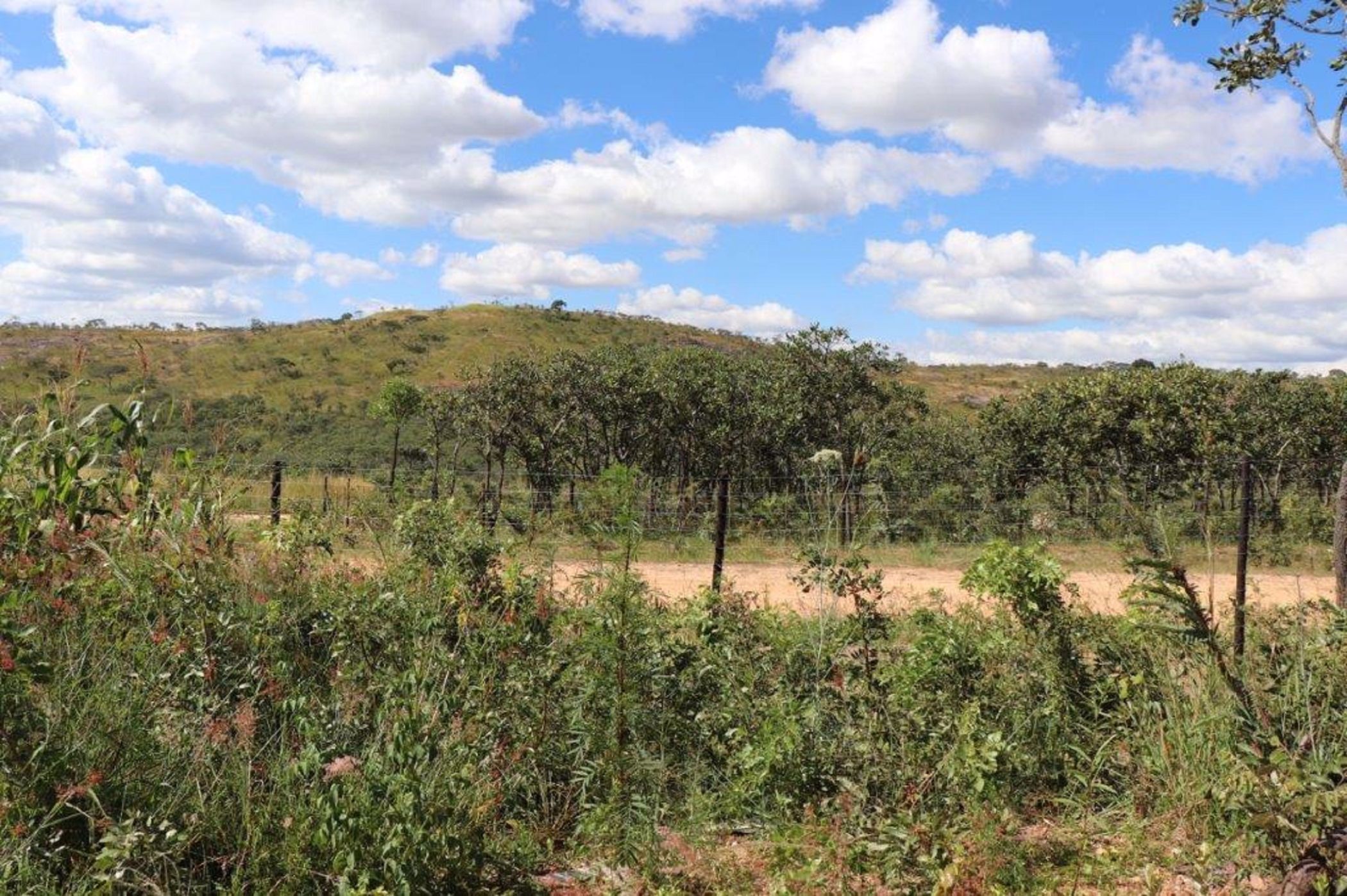 24500 m2 Farm Vacant Land For Sale Glen Forest (Zimbabwe