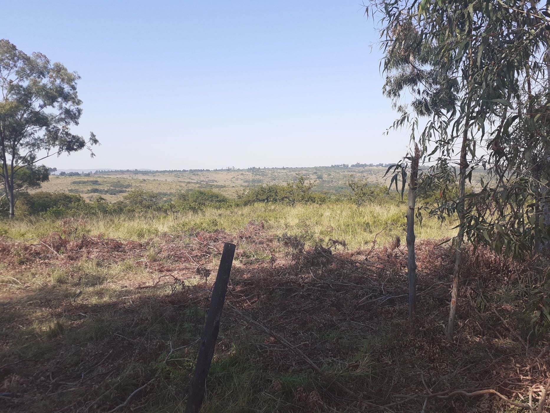 22 hectare vacant land for sale in Manzini (Manzini, Swaziland)