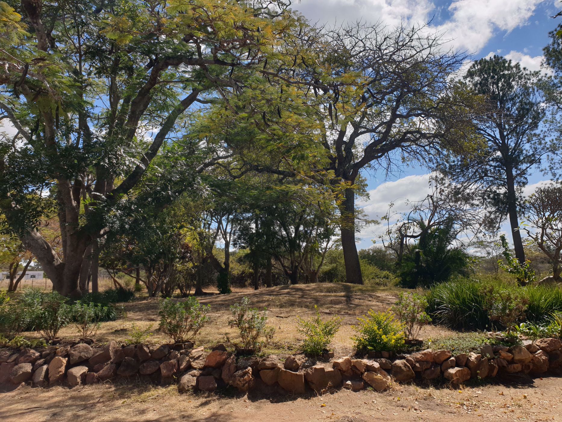 1203 hectare Crop Farm For Sale Choma (Zambia) 3ZA1532407 Pam