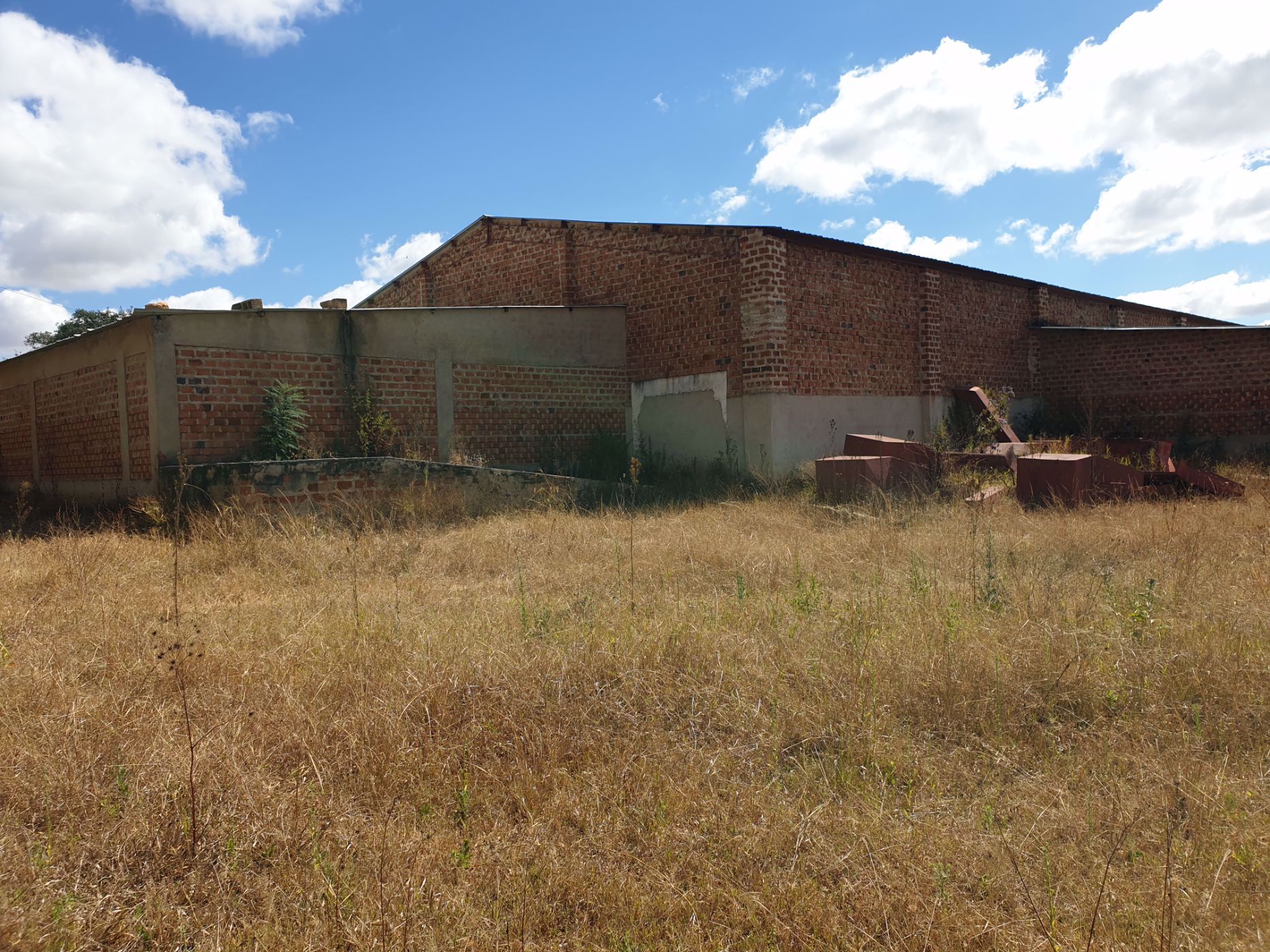 1203 hectare Crop Farm For Sale Choma (Zambia) 3ZA1532407 Pam