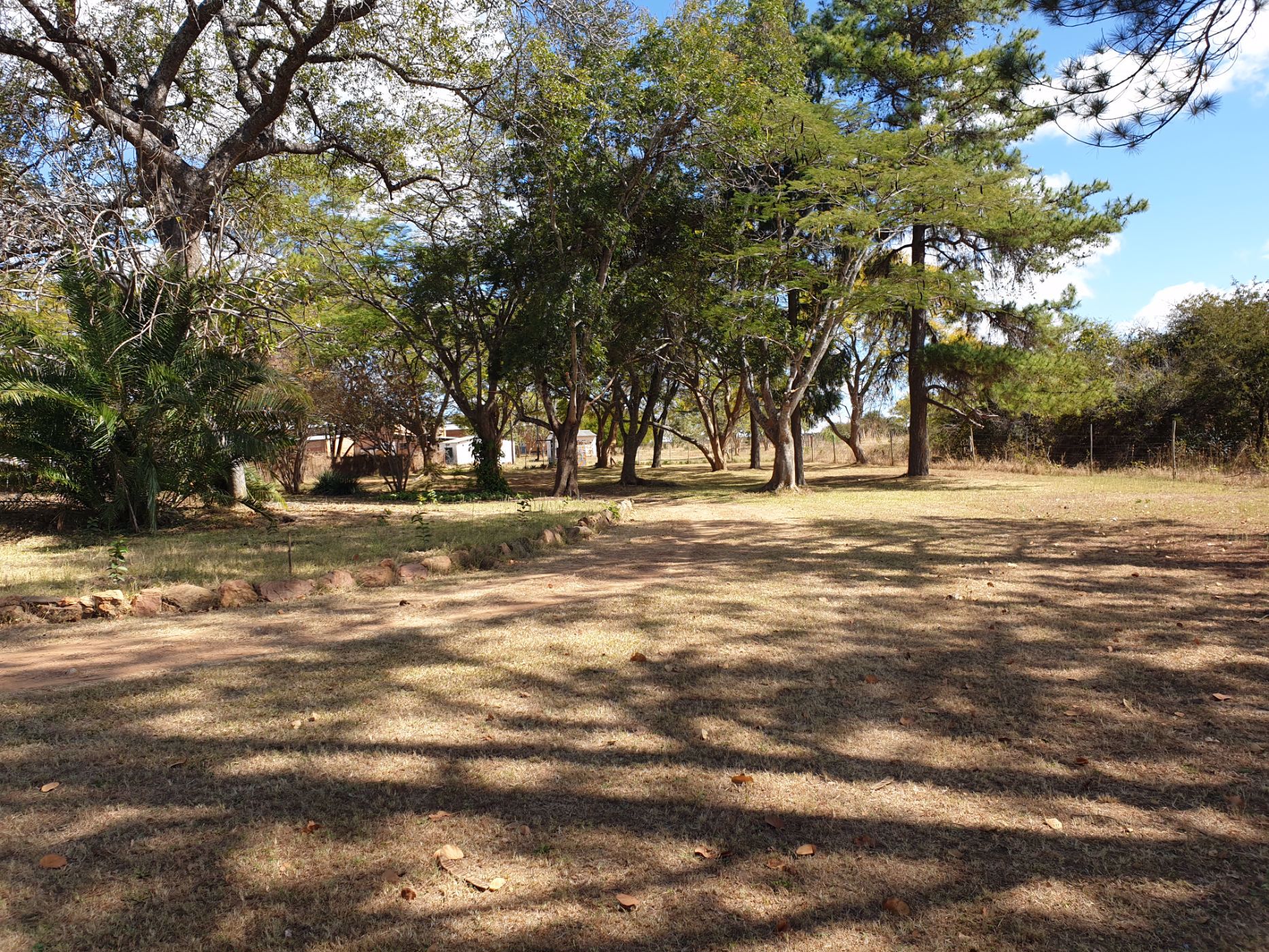 1203 hectare Crop Farm For Sale Choma (Zambia) 3ZA1532407 Pam