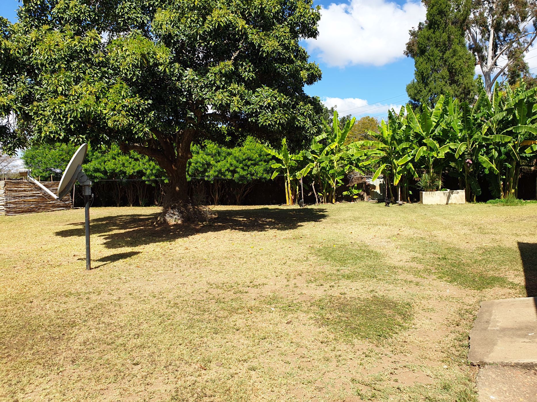 1203 hectare Crop Farm For Sale Choma (Zambia) 3ZA1532407 Pam