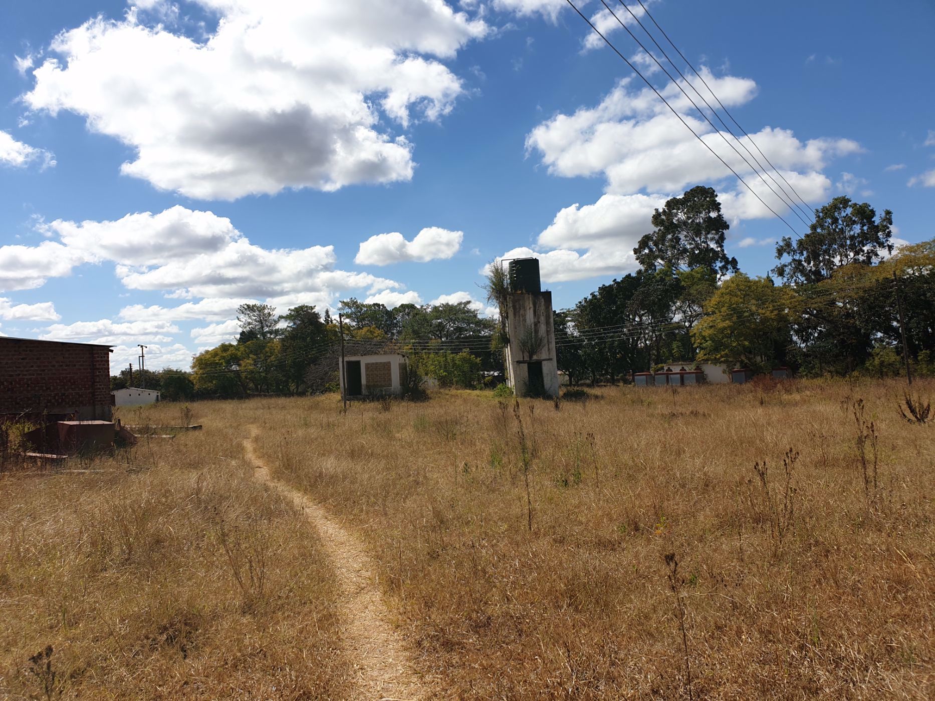 1203 hectare Crop Farm For Sale Choma (Zambia) 3ZA1532407 Pam