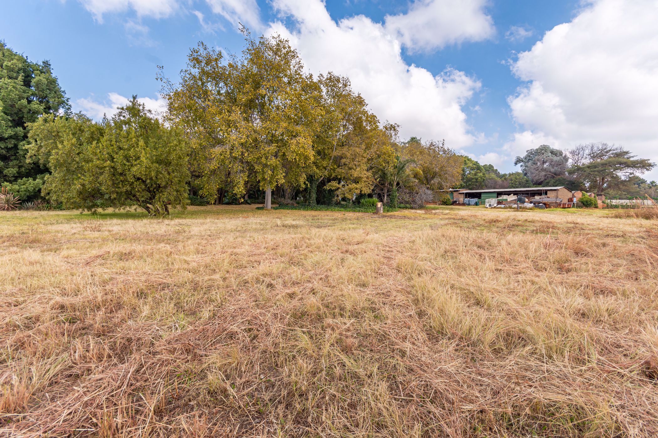 39995 m2 Smallholding For Sale Honeydew Manor RAN1532980 Pam