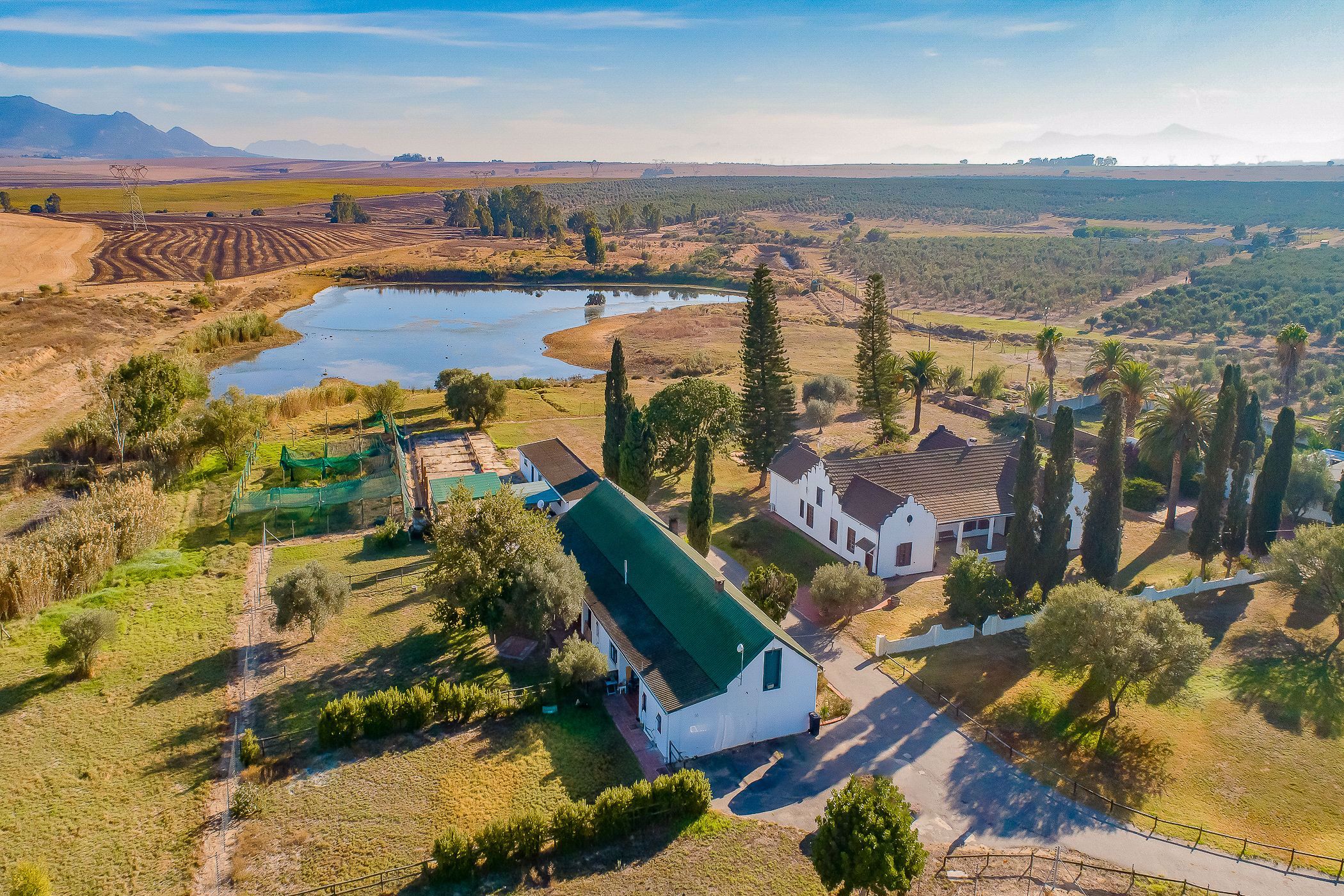 470.48 hectare Olive Farm For Sale Paarl Rural TK1532893 Pam