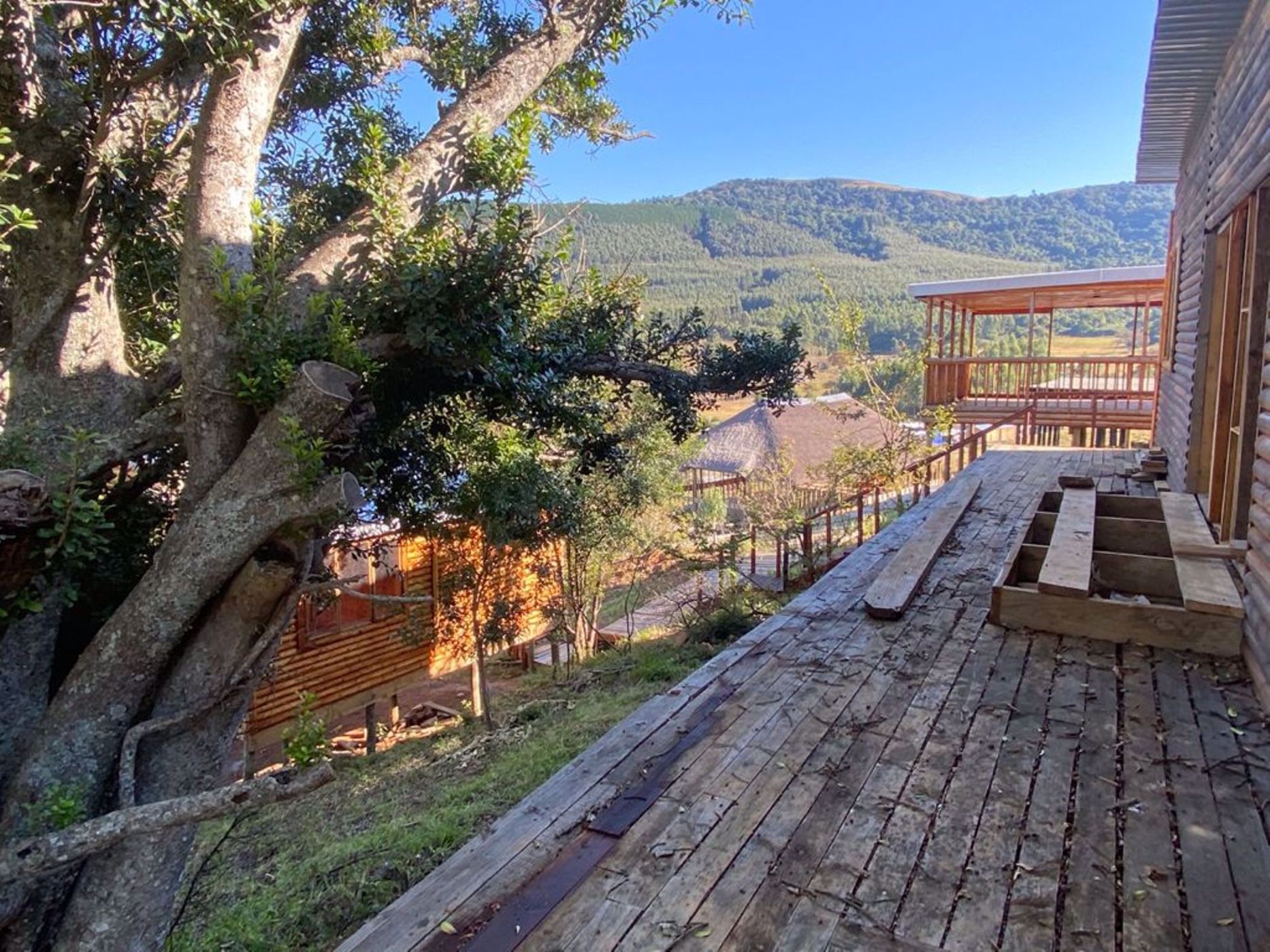 25 hectare Smallholding For Sale Byrne 1PM1533149 Pam Golding