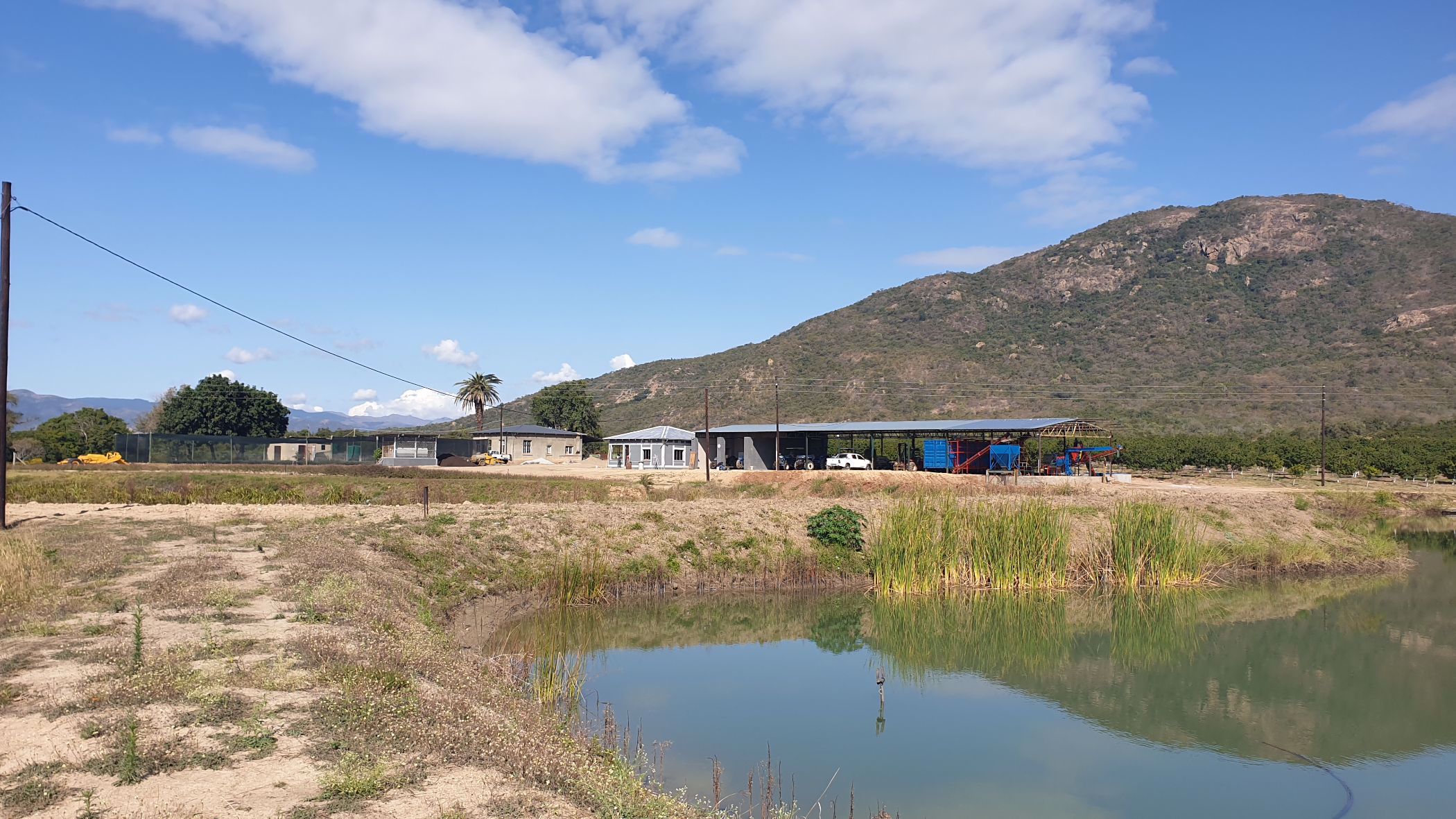 54 hectare Nut Farm For Sale Nelspruit (Mbombela) 1NK1533762 Pam