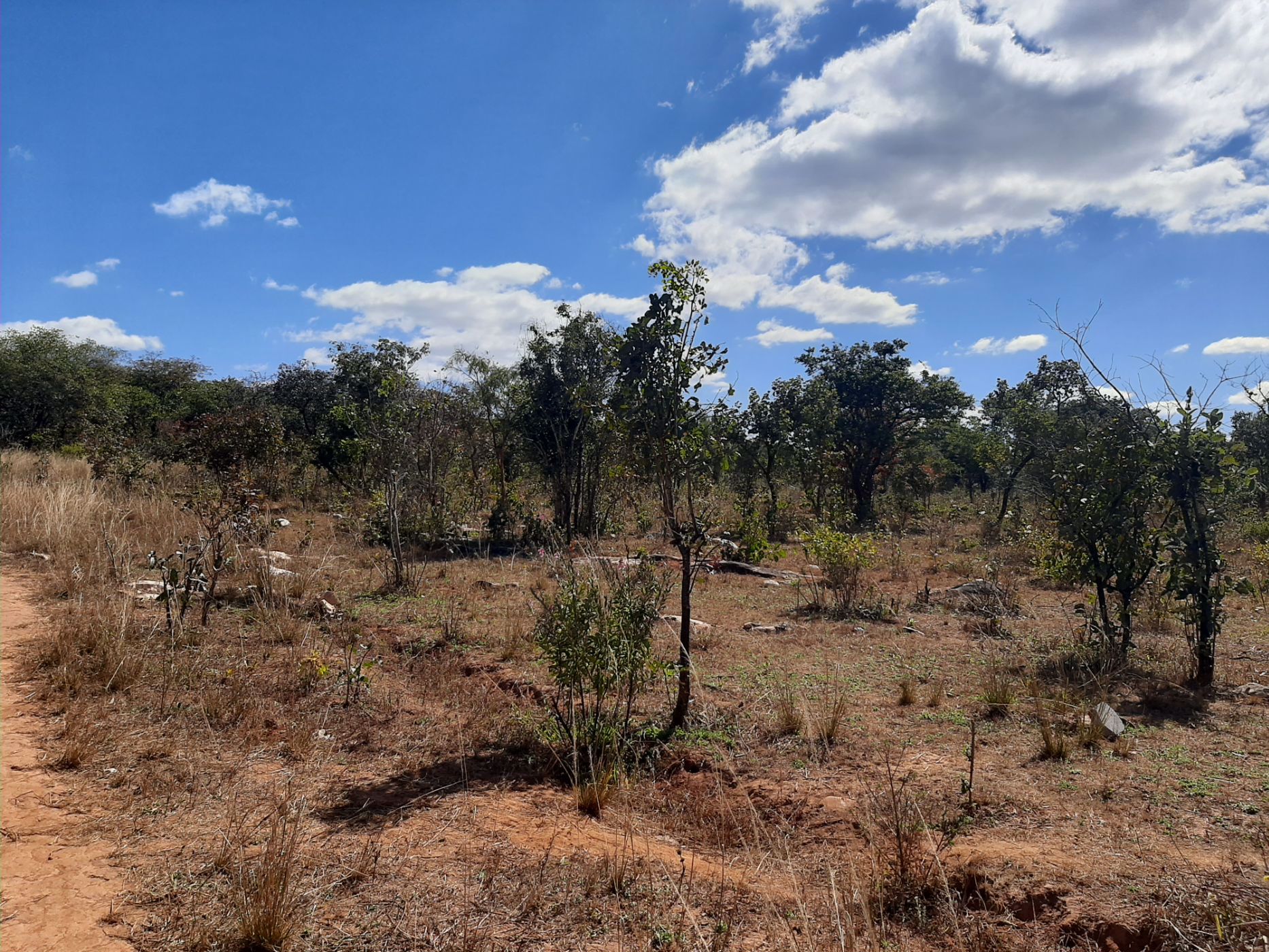 1 acres vacant land for sale in Leopards Hill (Zambia)