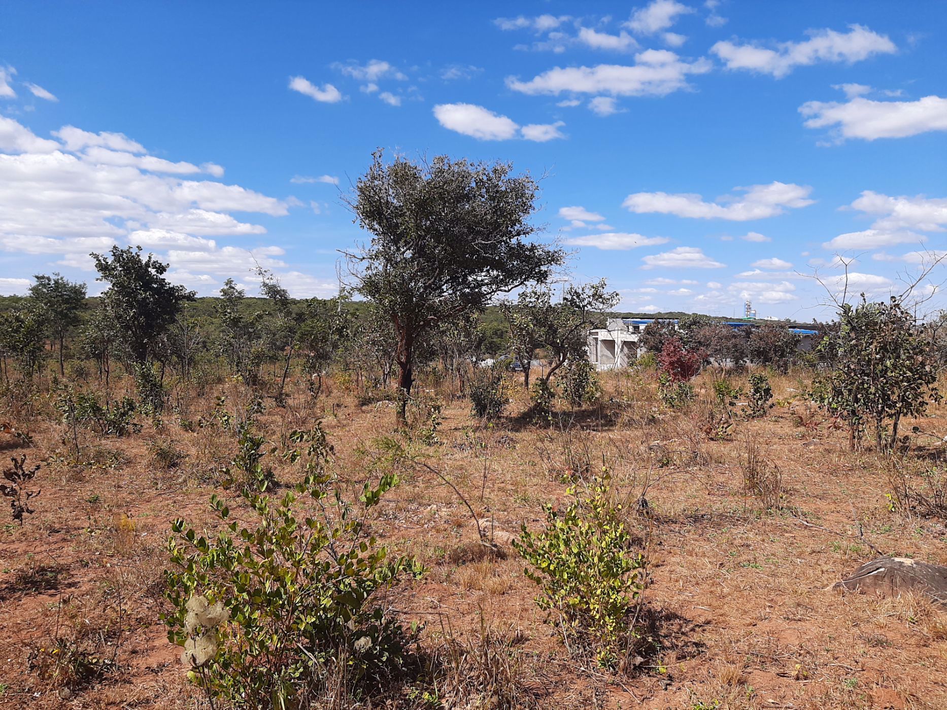 1 Acres Vacant Land For Sale Leopards Hill (Zambia) 3ZA1533415
