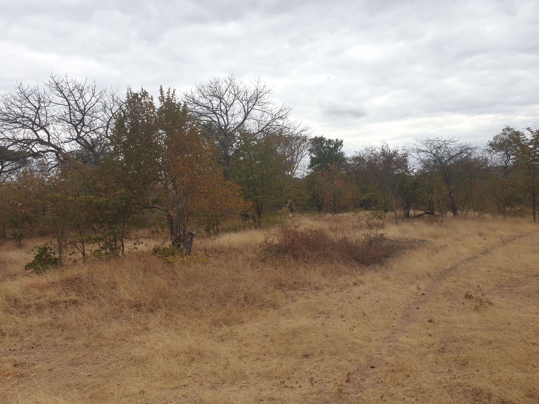 147.2 Acres Commercial Vacant Land For Sale Chirundu (Zambia