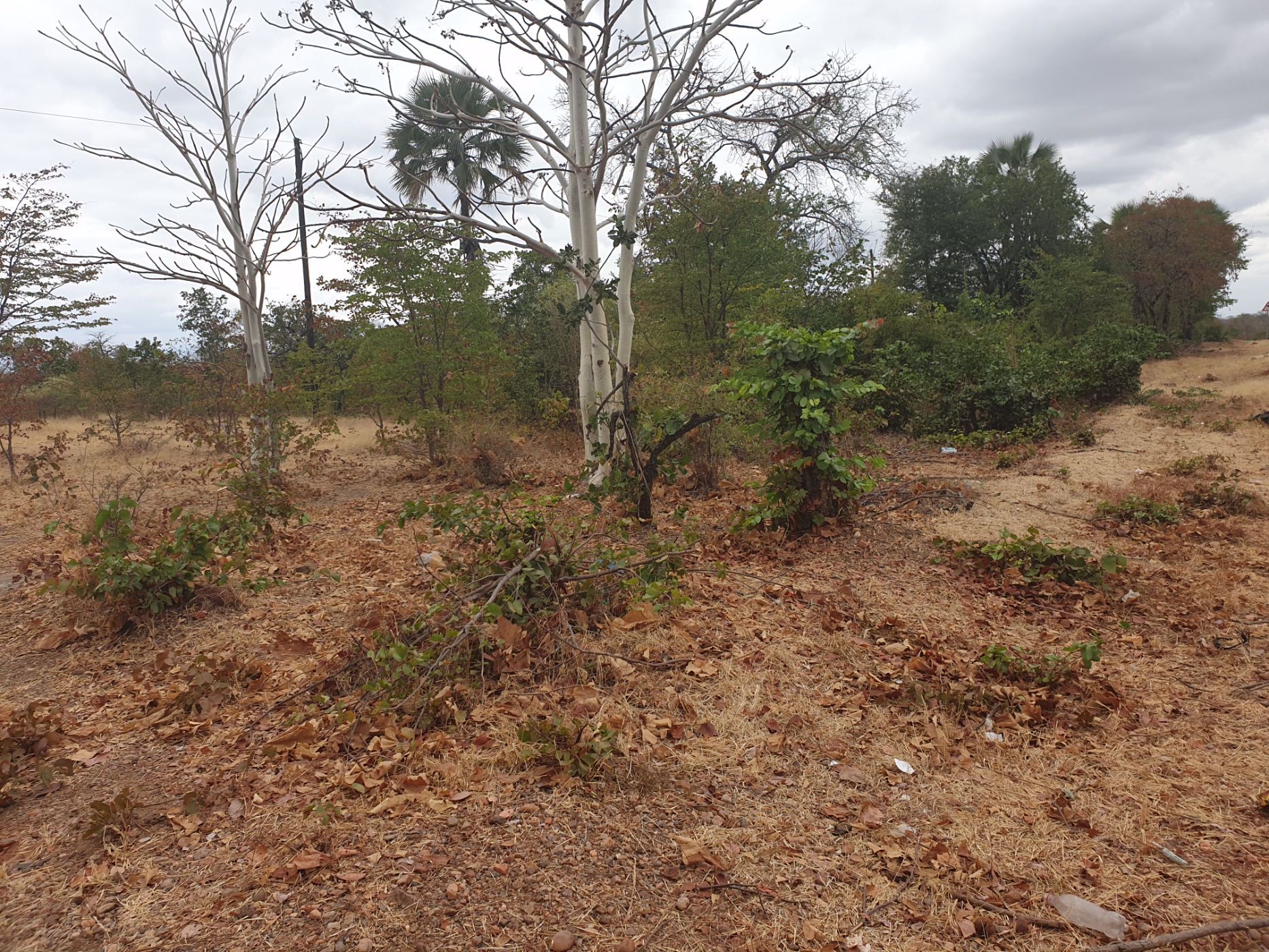 147.2 Acres Commercial Vacant Land For Sale Chirundu (Zambia