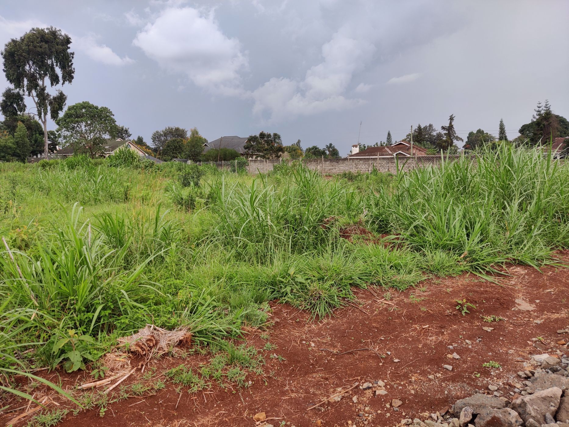 Vacant land for sale in Thika (Kenya)