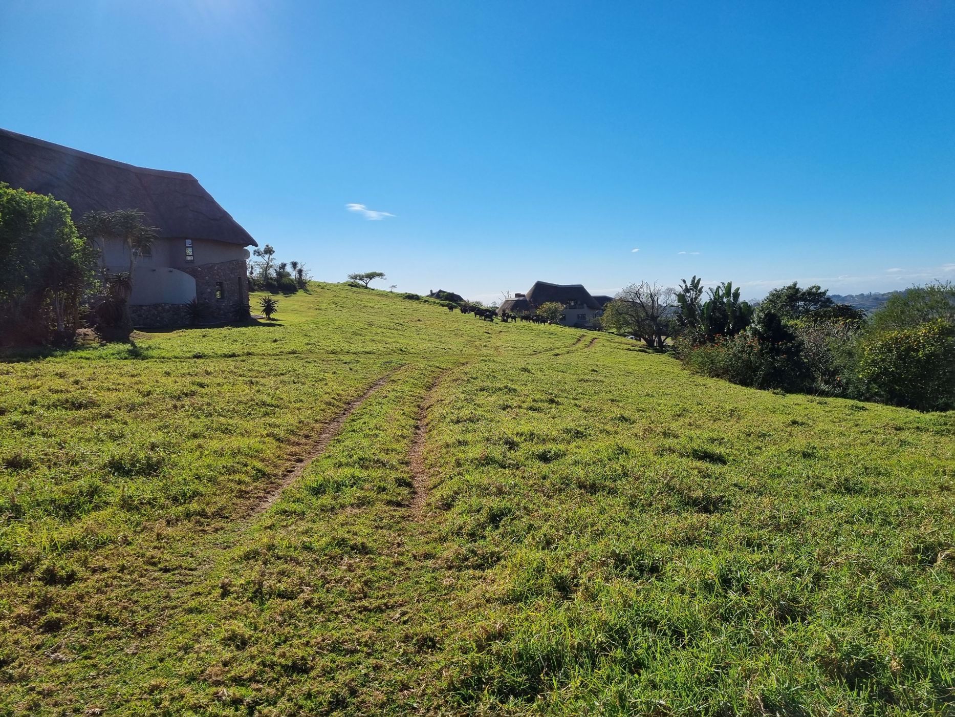 1842 m&sup2; vacant land for sale in Phezulu Estate