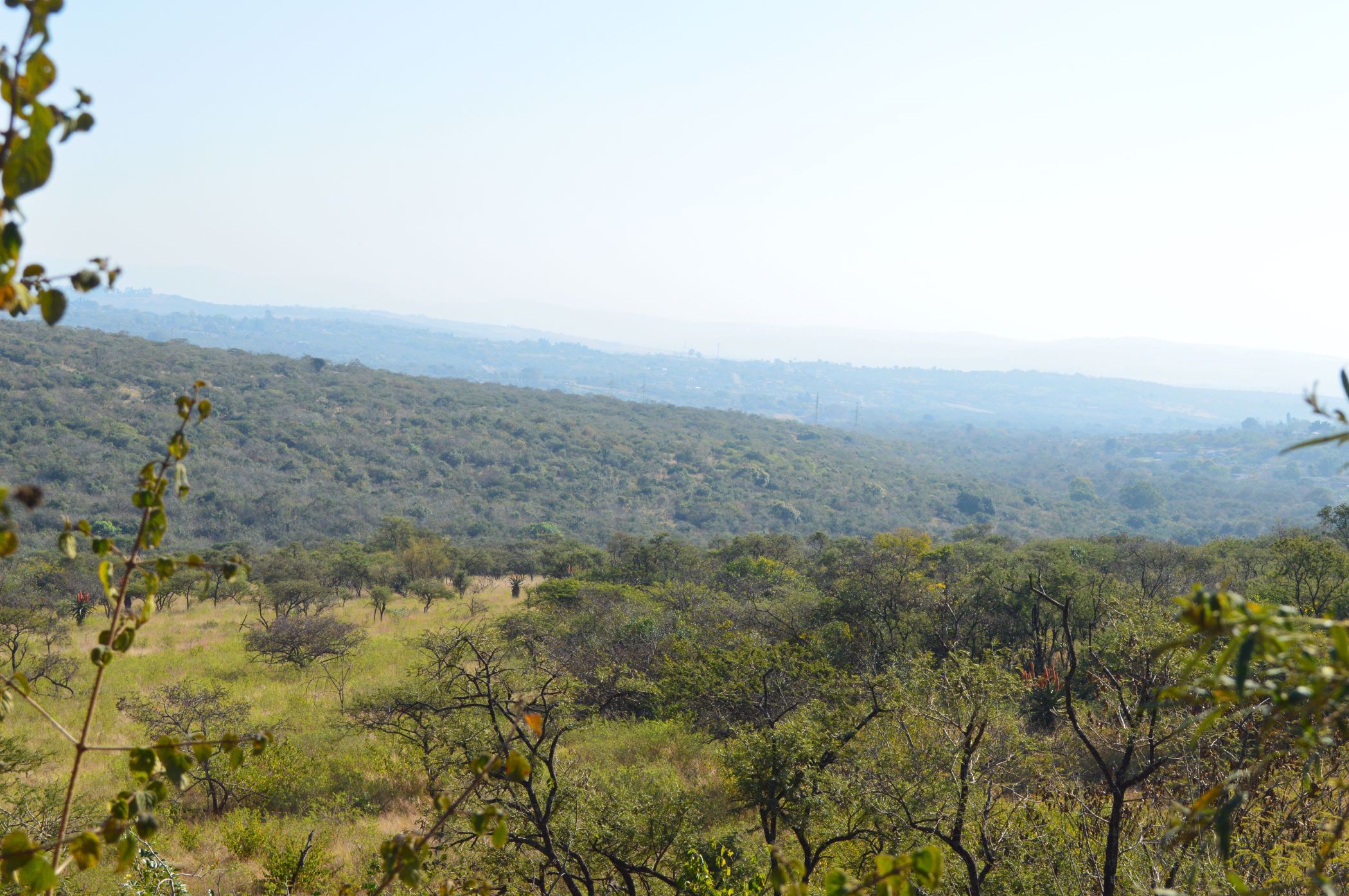 29.64 hectare Farm Vacant Land For Sale Lynnfield Park 1PM1538388