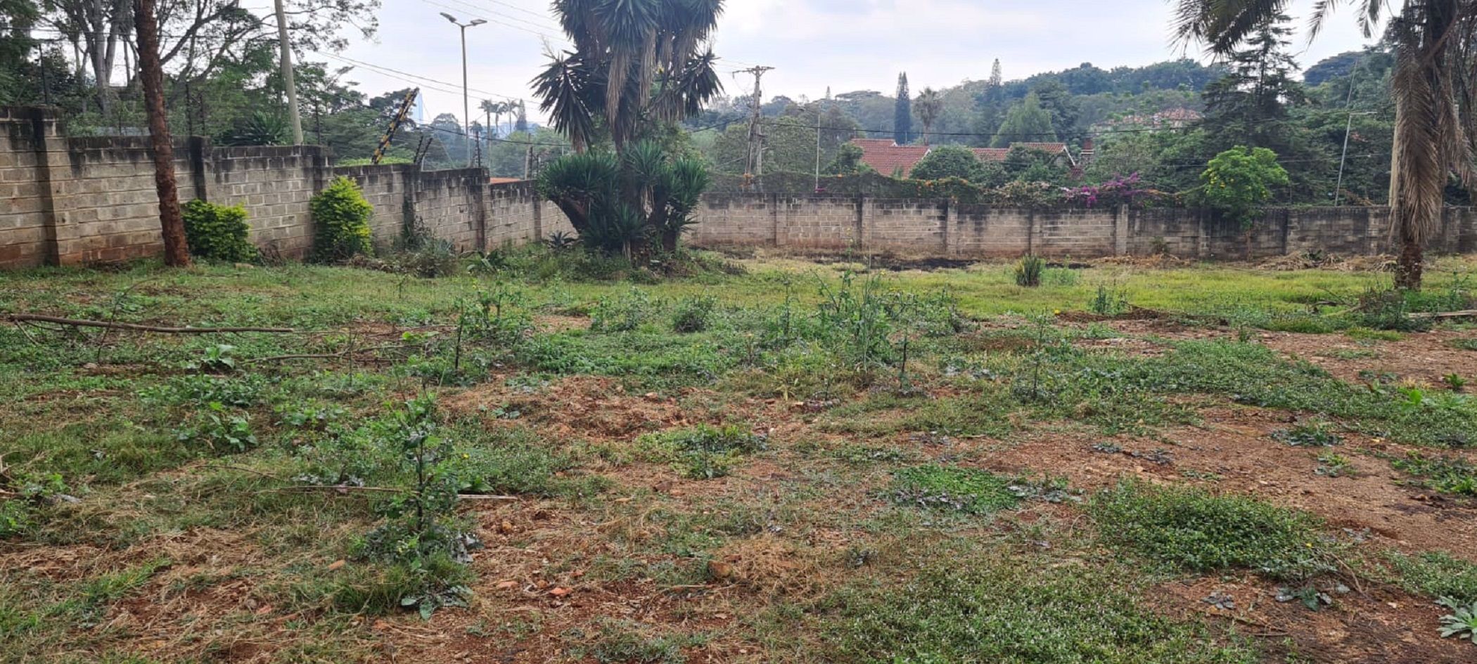 3642 m&sup2; commercial vacant land to rent in Westlands (Kenya)