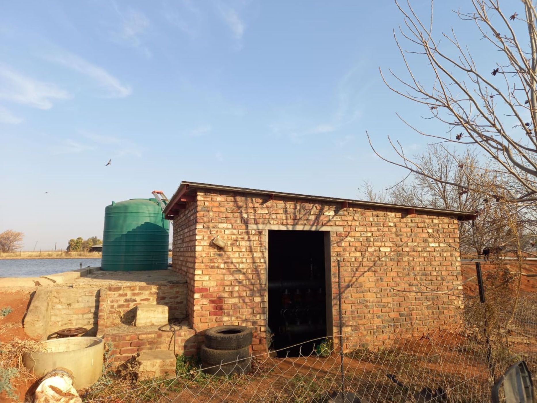 53 hectare Nut Farm For Sale Hartswater (Northern Cape) 1RN1541363