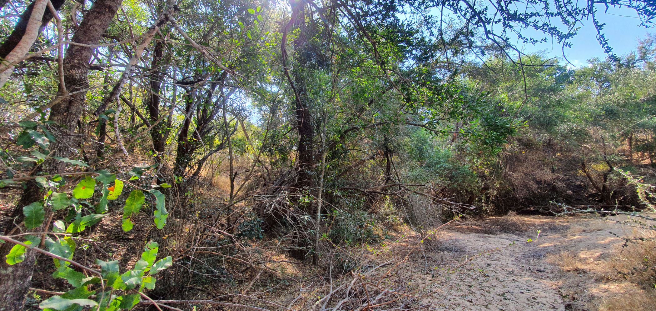 13630 m2 Residential Vacant Land For Sale Karongwe Private Game