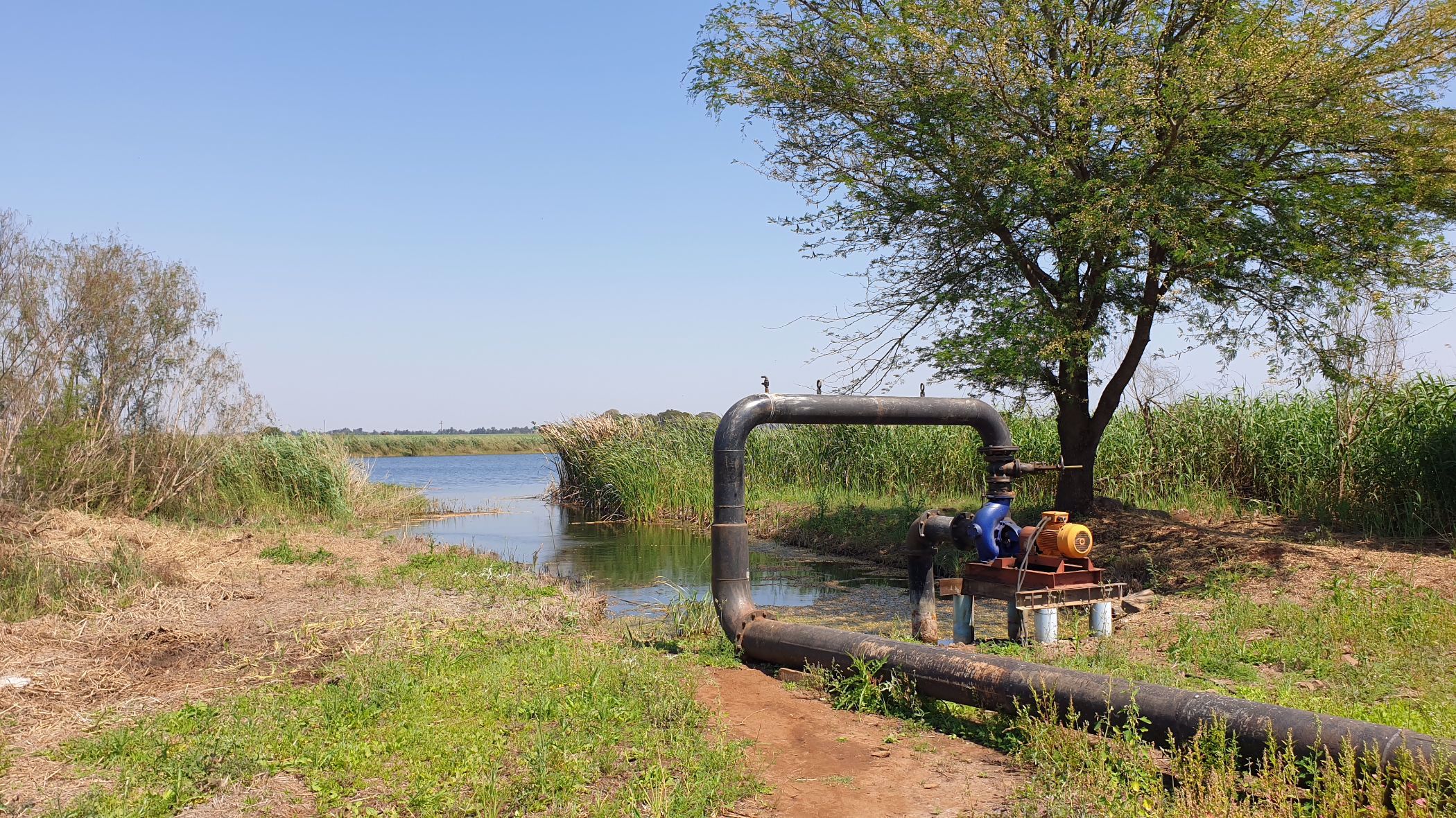 343 hectare Irrigation Farm For Sale Komatipoort 1NK1544623 Pam