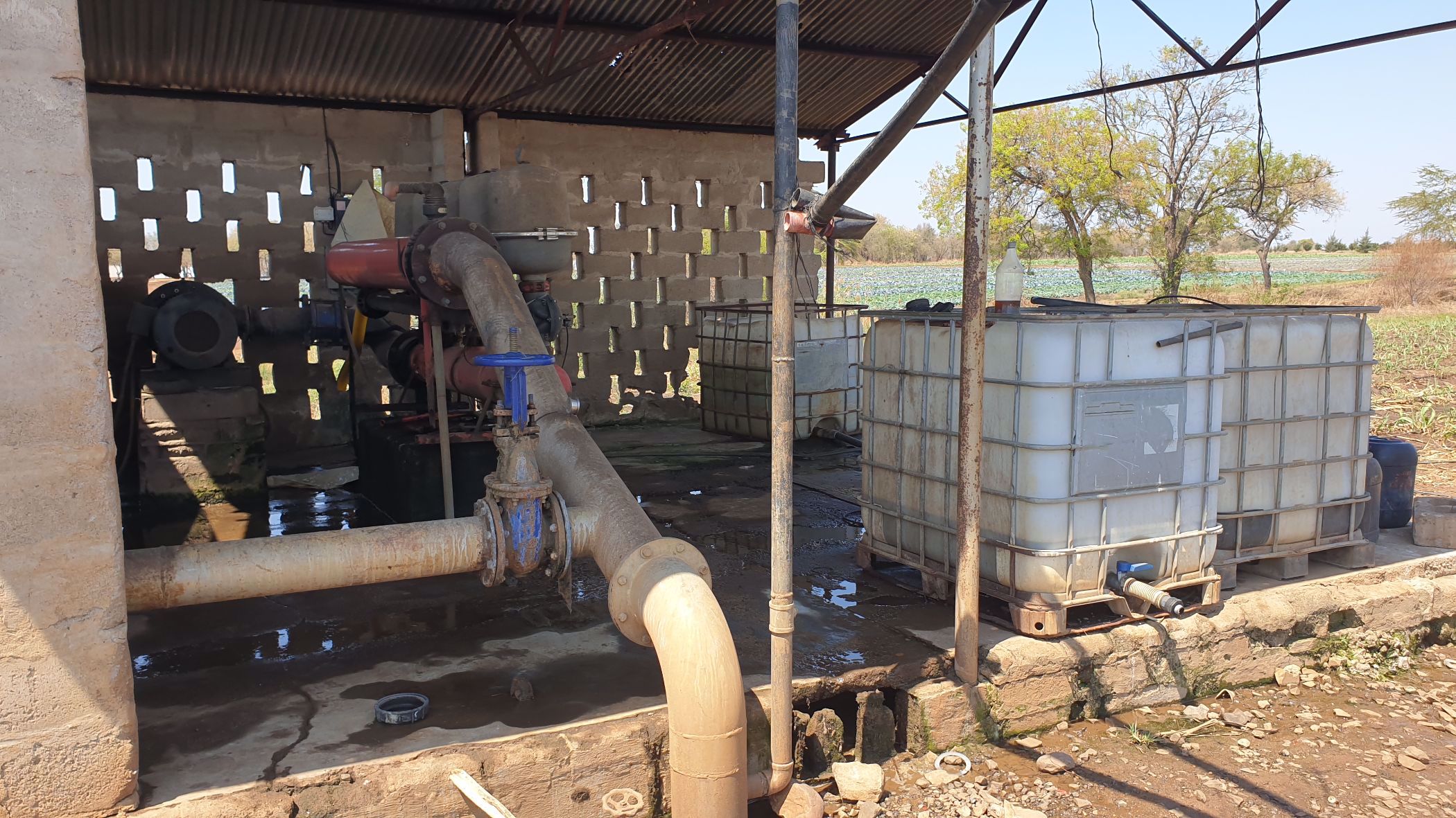 343 hectare Irrigation Farm For Sale Komatipoort 1NK1544623 Pam