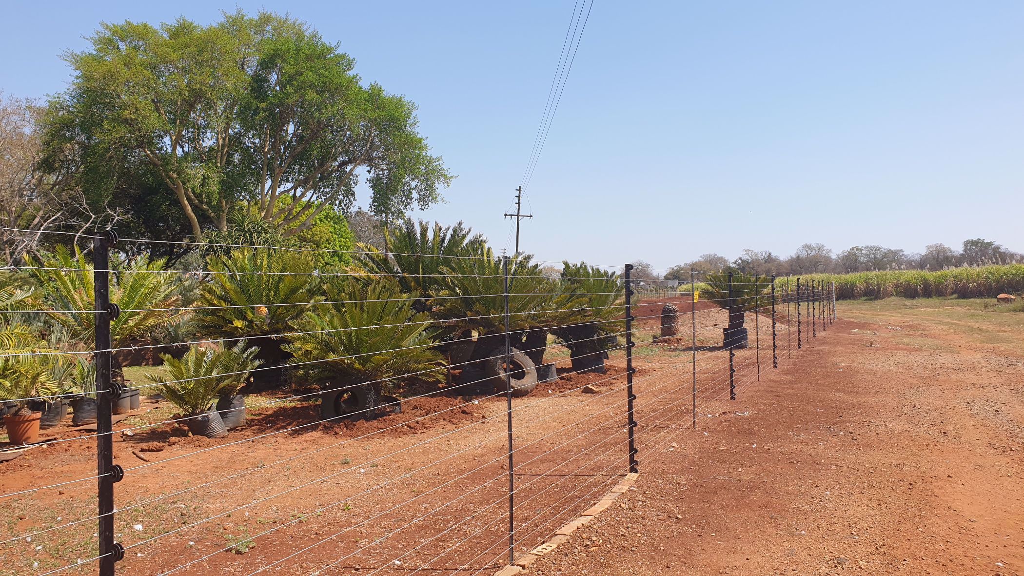 343 hectare Irrigation Farm For Sale Komatipoort 1NK1544623 Pam