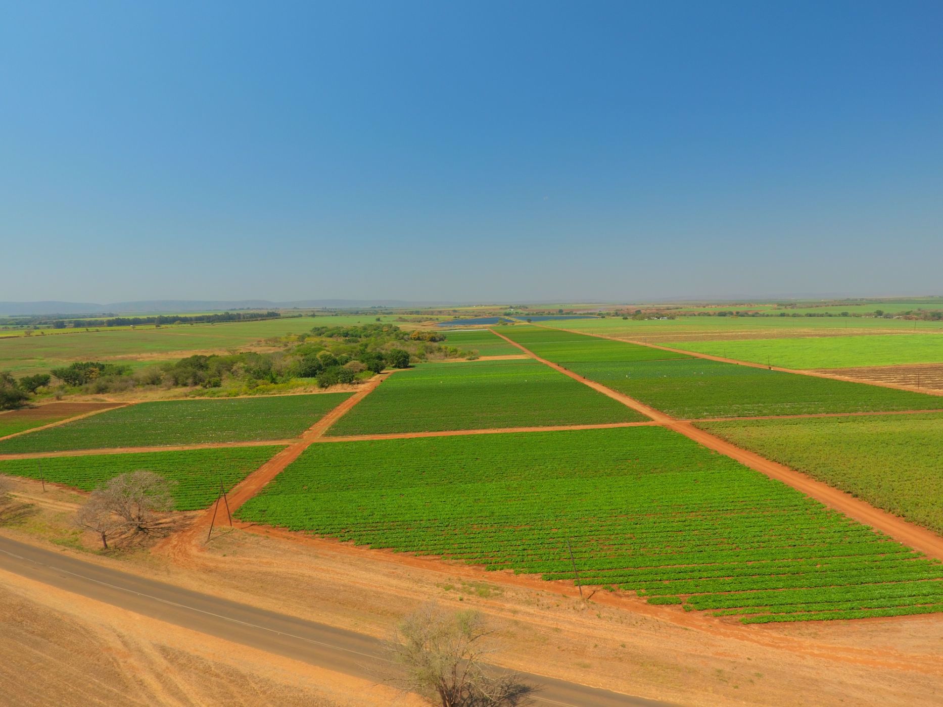 343 hectare Irrigation Farm For Sale Komatipoort 1NK1544623 Pam