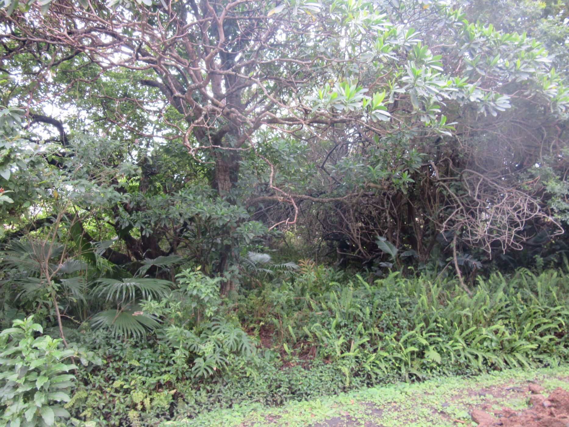 1275 m&sup2; residential vacant land for sale in Port Edward