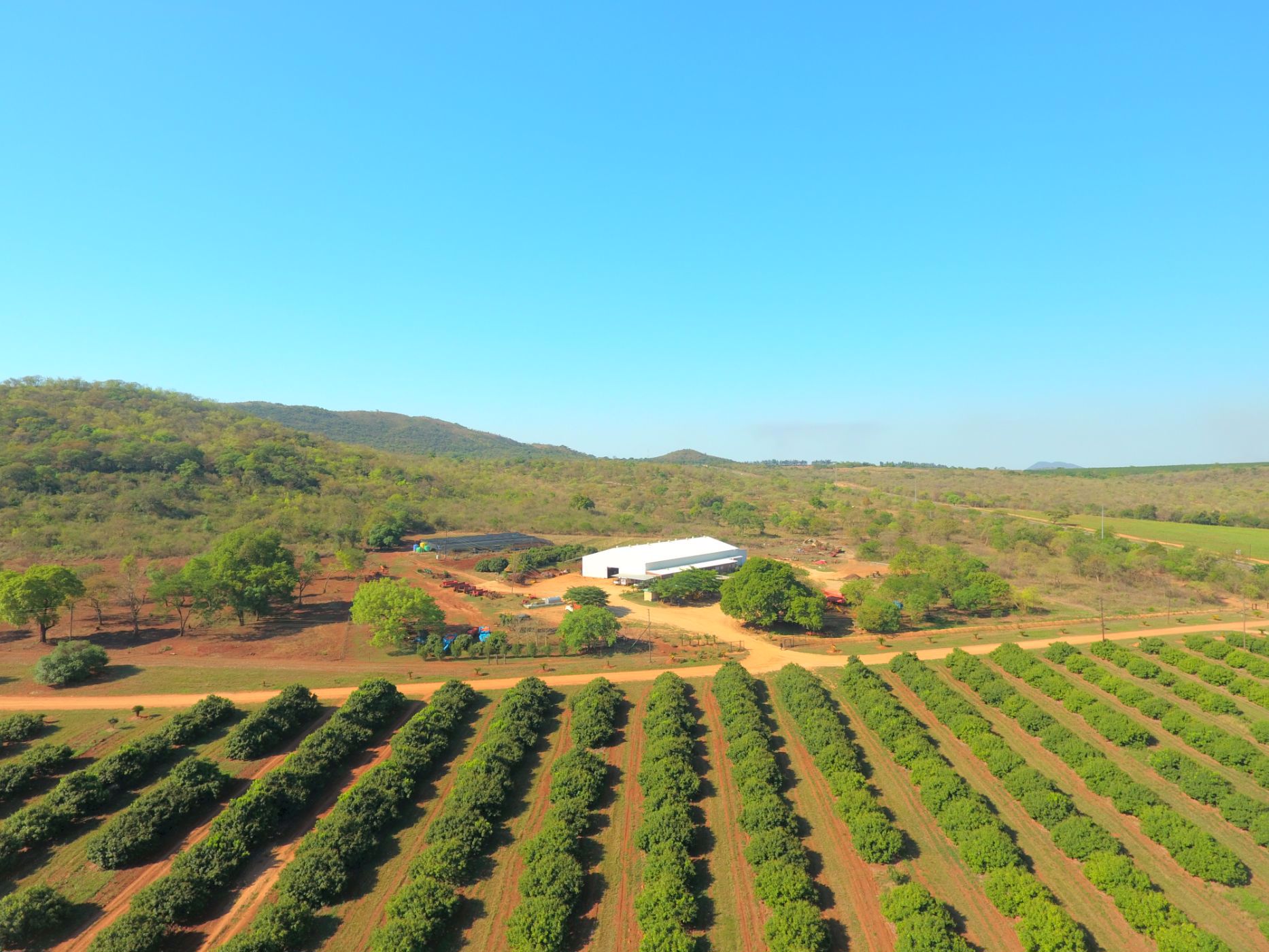 832.6 hectare Fruit Farm For Sale Malelane 1NK1565052 Pam Golding