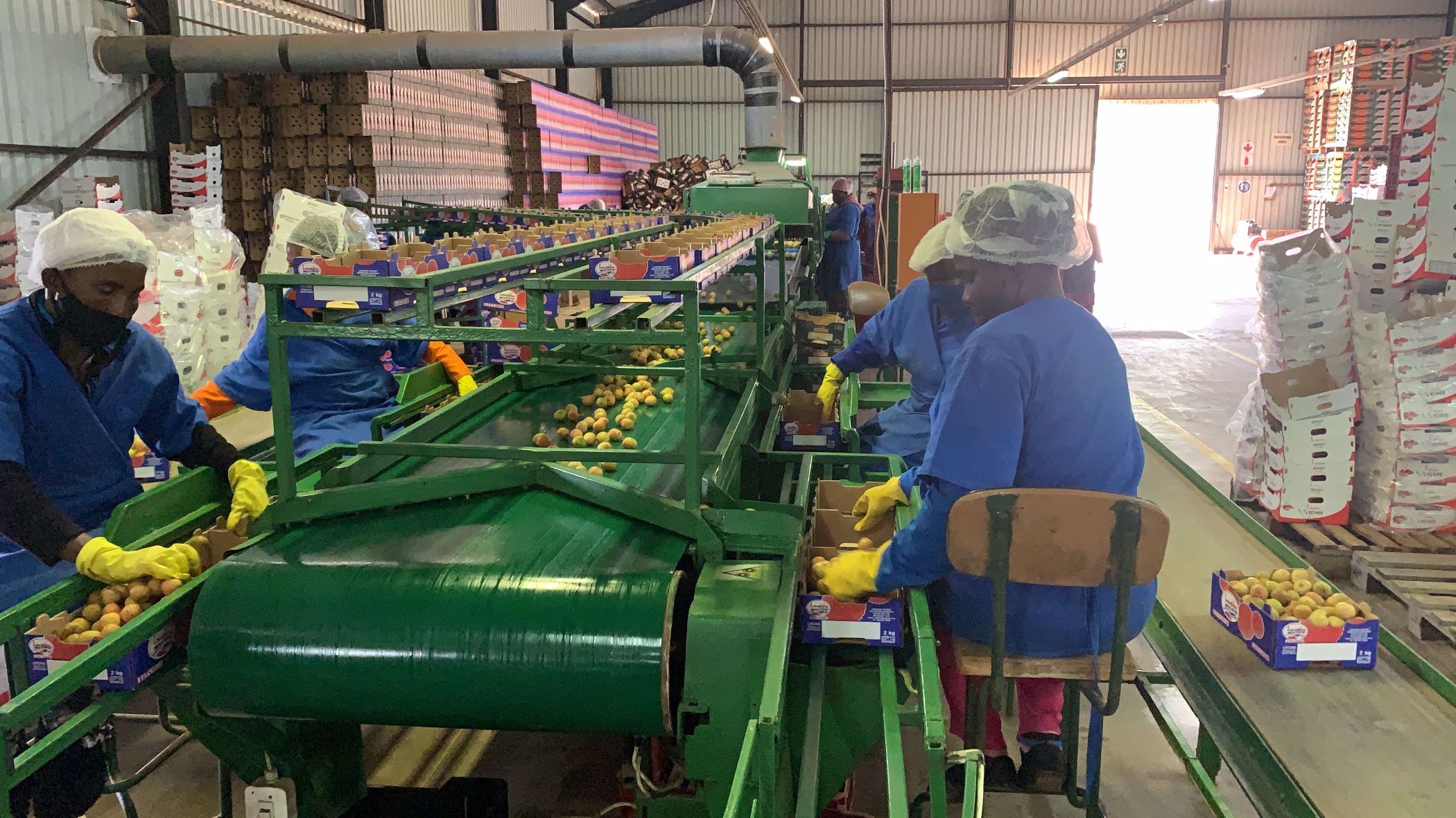 832.6 hectare Fruit Farm For Sale Malelane 1NK1565052 Pam Golding