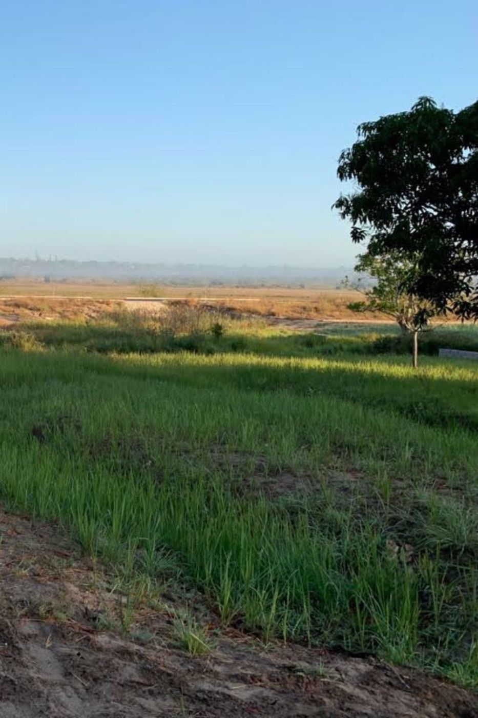 3200 m&sup2; farm vacant land for sale in Catembe (Mozambique)