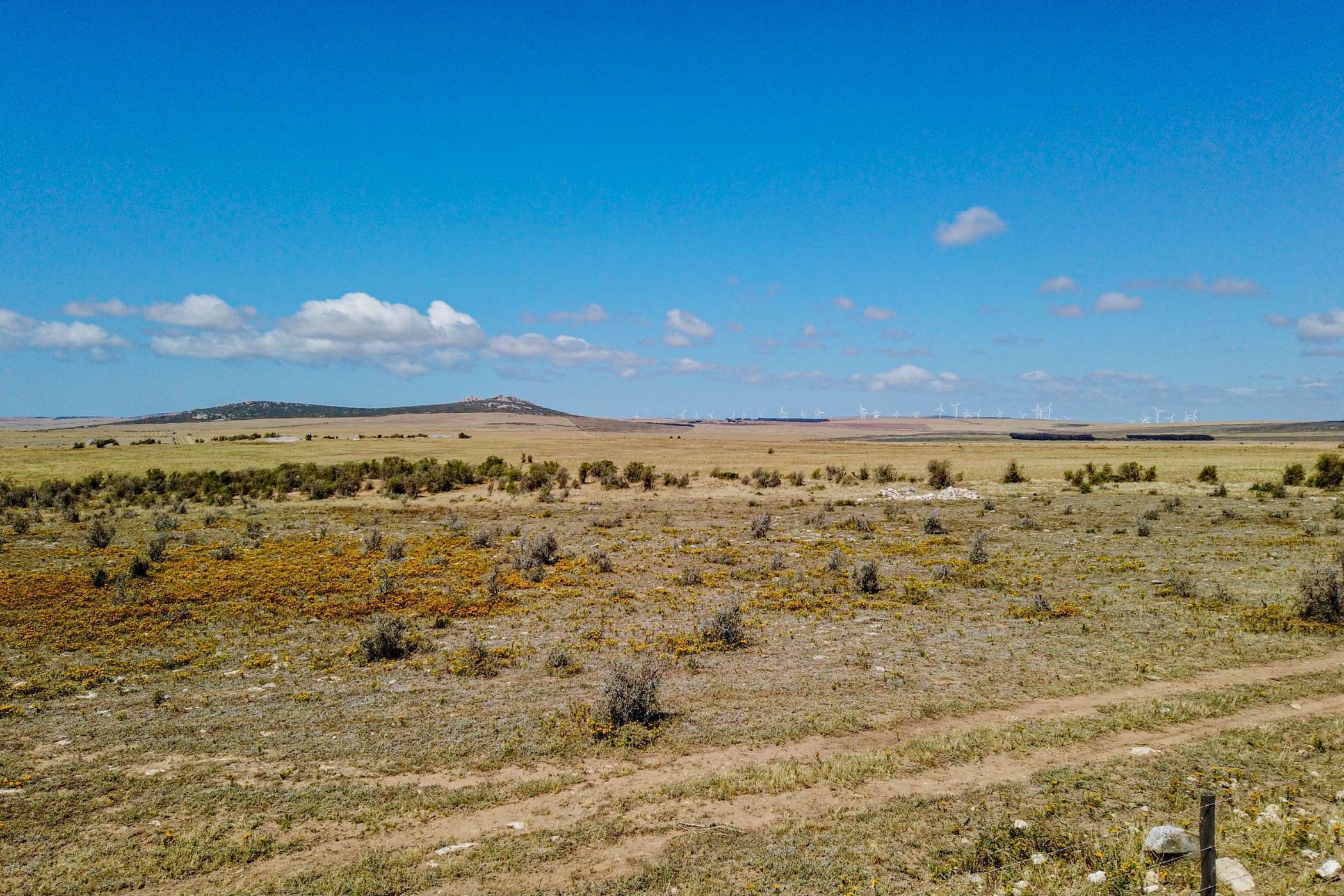 280 hectare Vacant Land For Sale Paternoster Nature Reserve