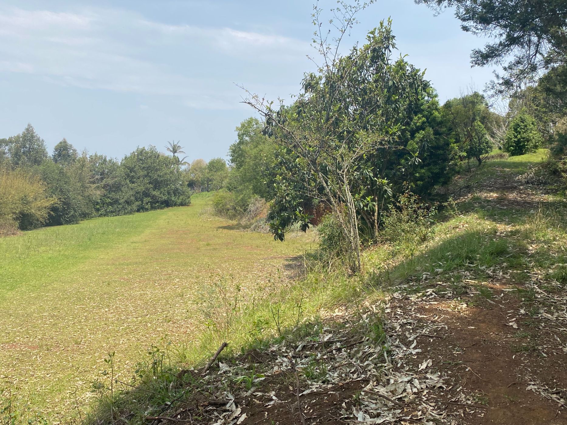 6070 m2 Farm Vacant Land For Sale Richmond (Midlands (Rural