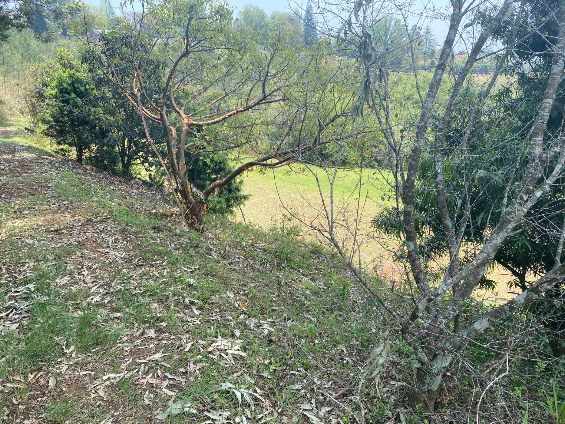 6070 m2 Farm Vacant Land For Sale Richmond (Midlands (Rural