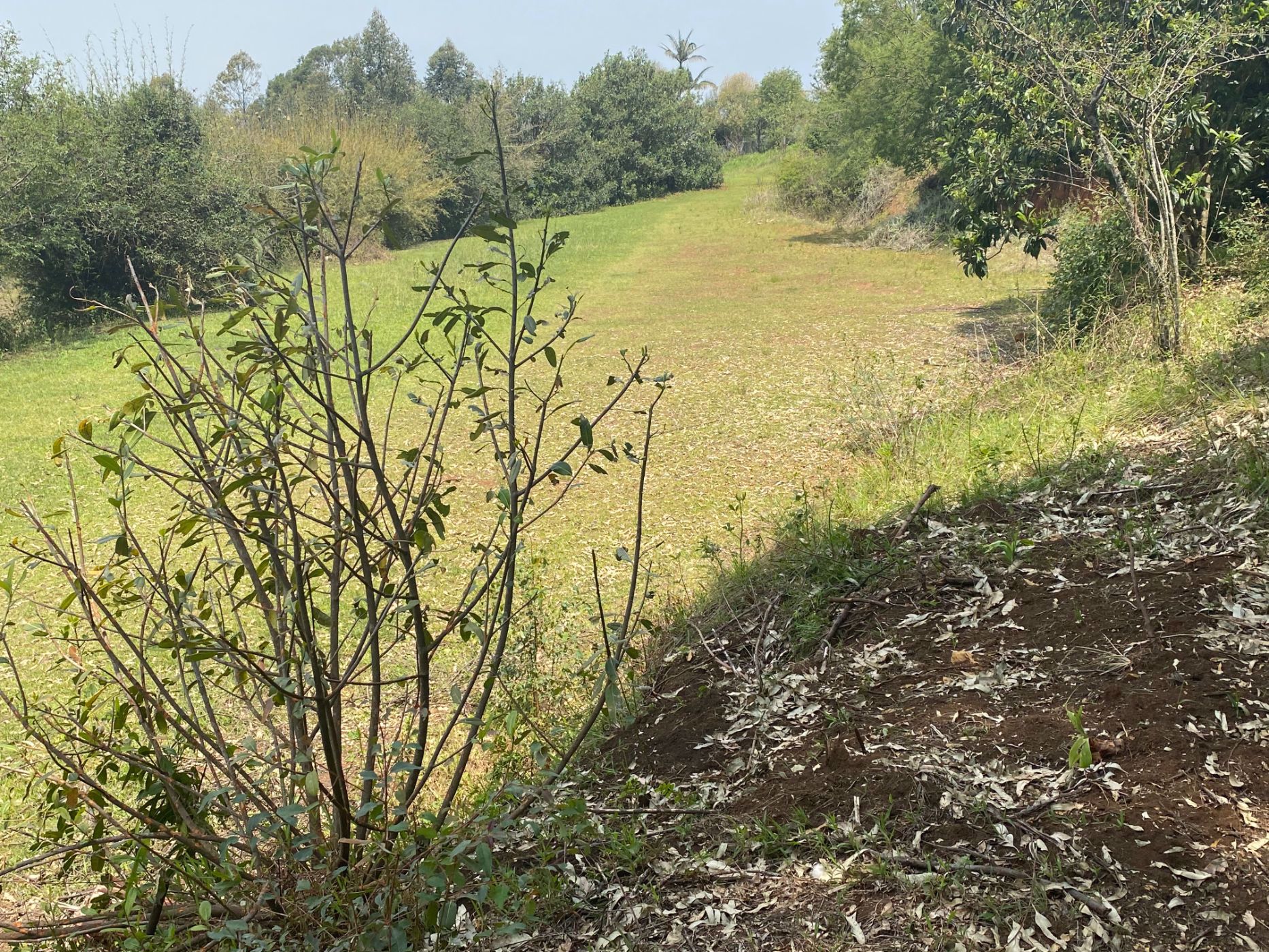 6070 m2 Farm Vacant Land For Sale Richmond (Midlands (Rural