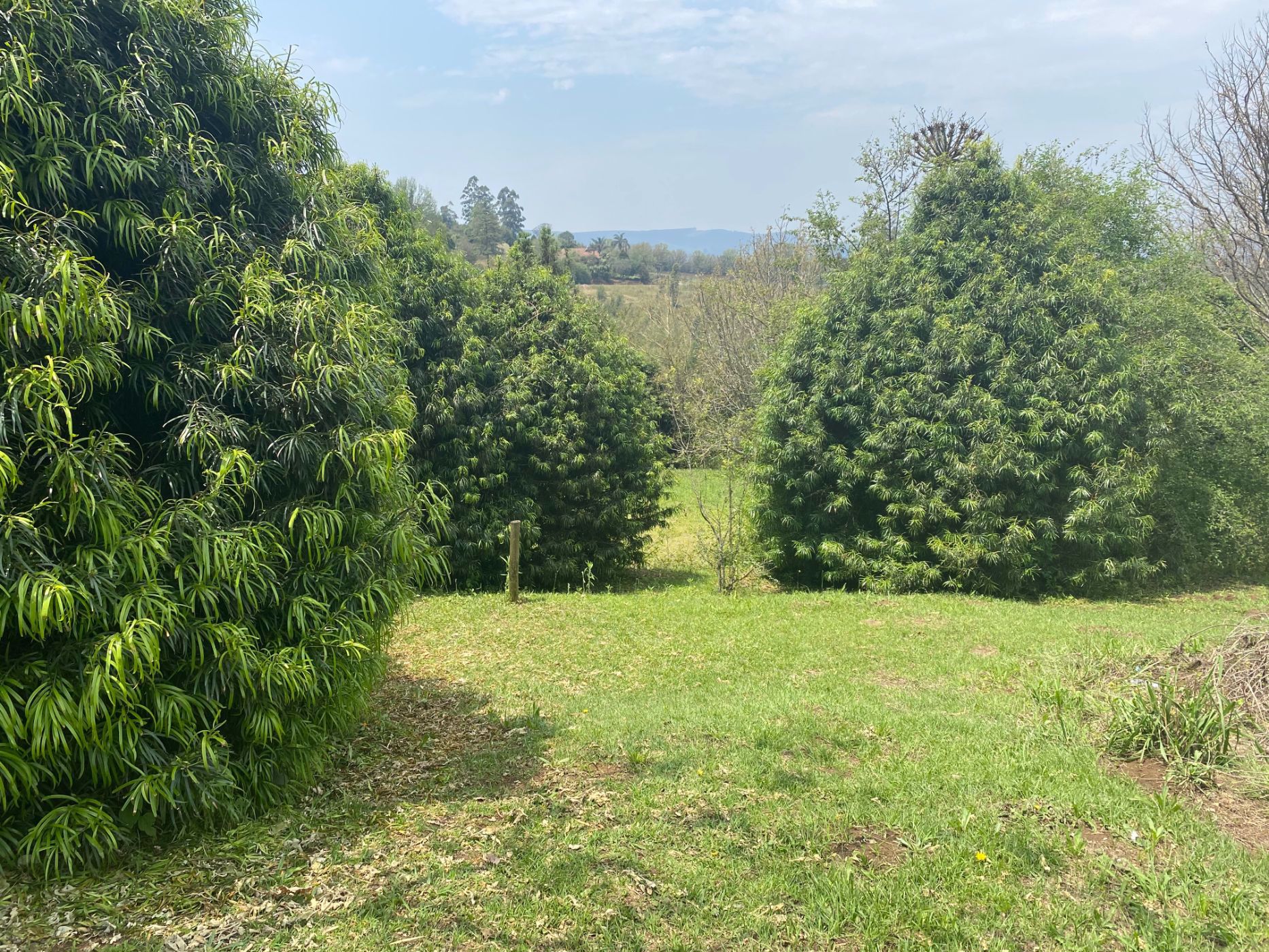 6070 m2 Farm Vacant Land For Sale Richmond (Midlands (Rural