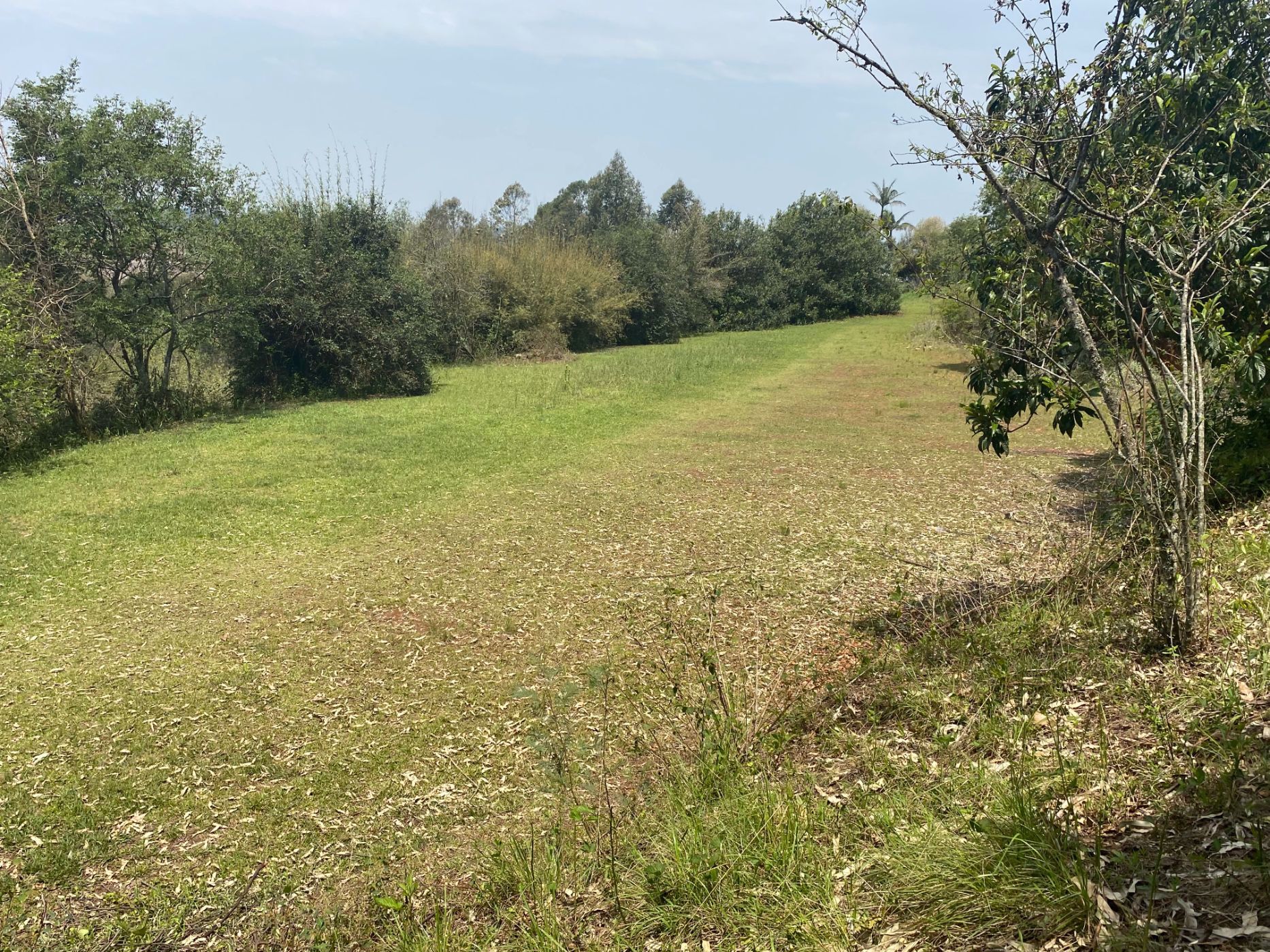 6070 m2 Farm Vacant Land For Sale Richmond (Midlands (Rural