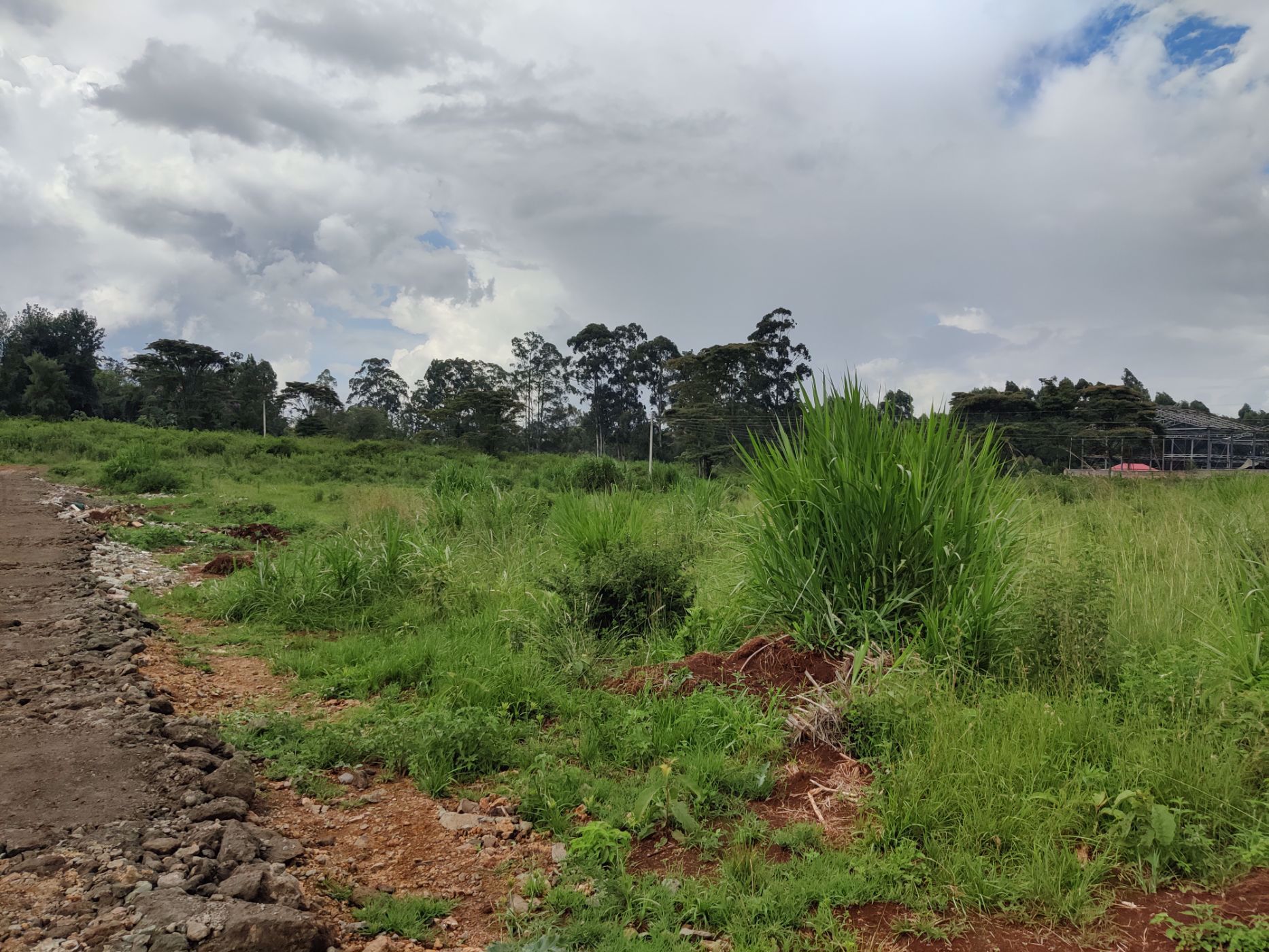 505 m&sup2; vacant land for sale in Thika Road (Kenya)