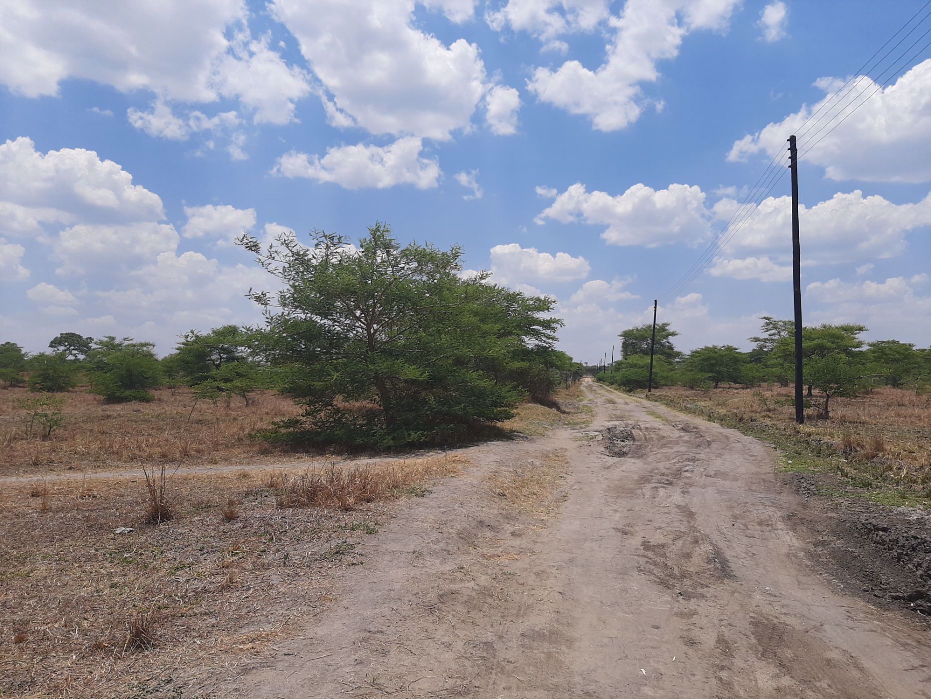 2 hectare Vacant Land For Sale Silverest (Zambia) 3ZA1552294 Pam