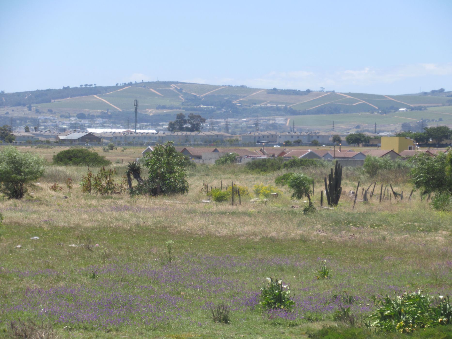 8.21 hectare Vacant Land For Sale High Gate (Blue Downs) 1KV1552605 Pam Golding Properties